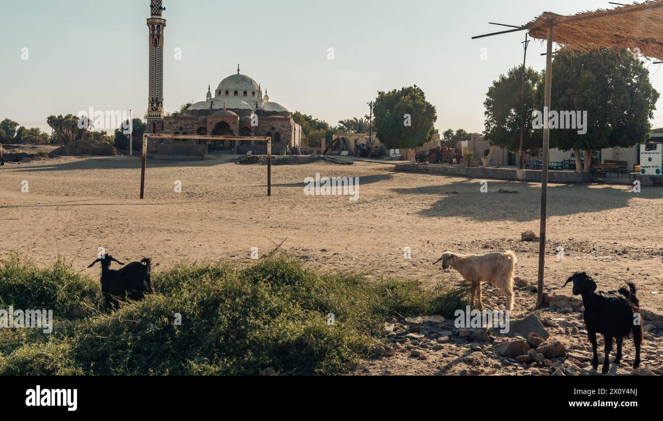 Paesaggio nel villaggio nubiano vicino Assuan, Egitto, Africa Foto Stock