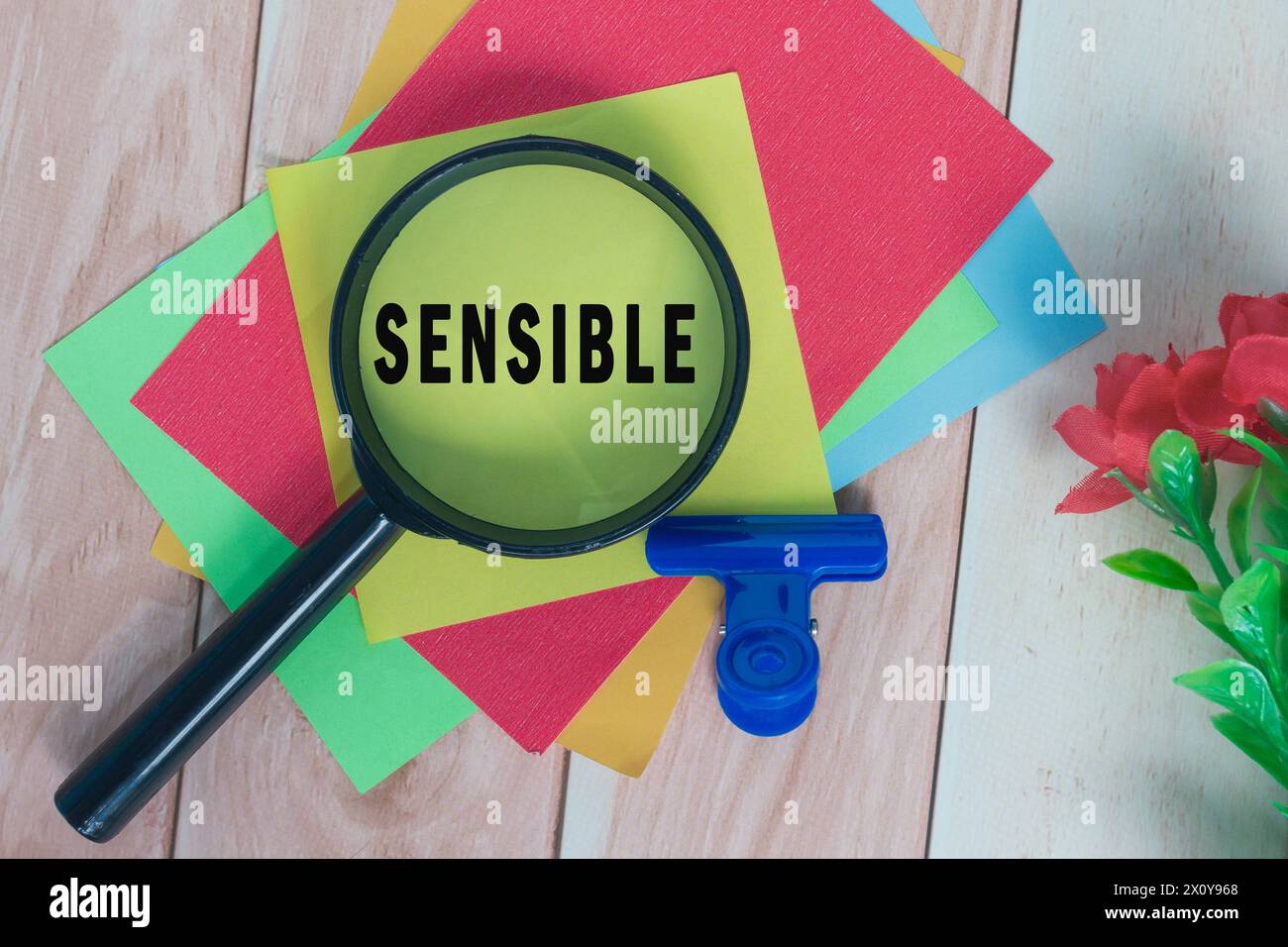 Parola sensibile su carta adesiva colorata con lente d'ingrandimento. Foto Stock