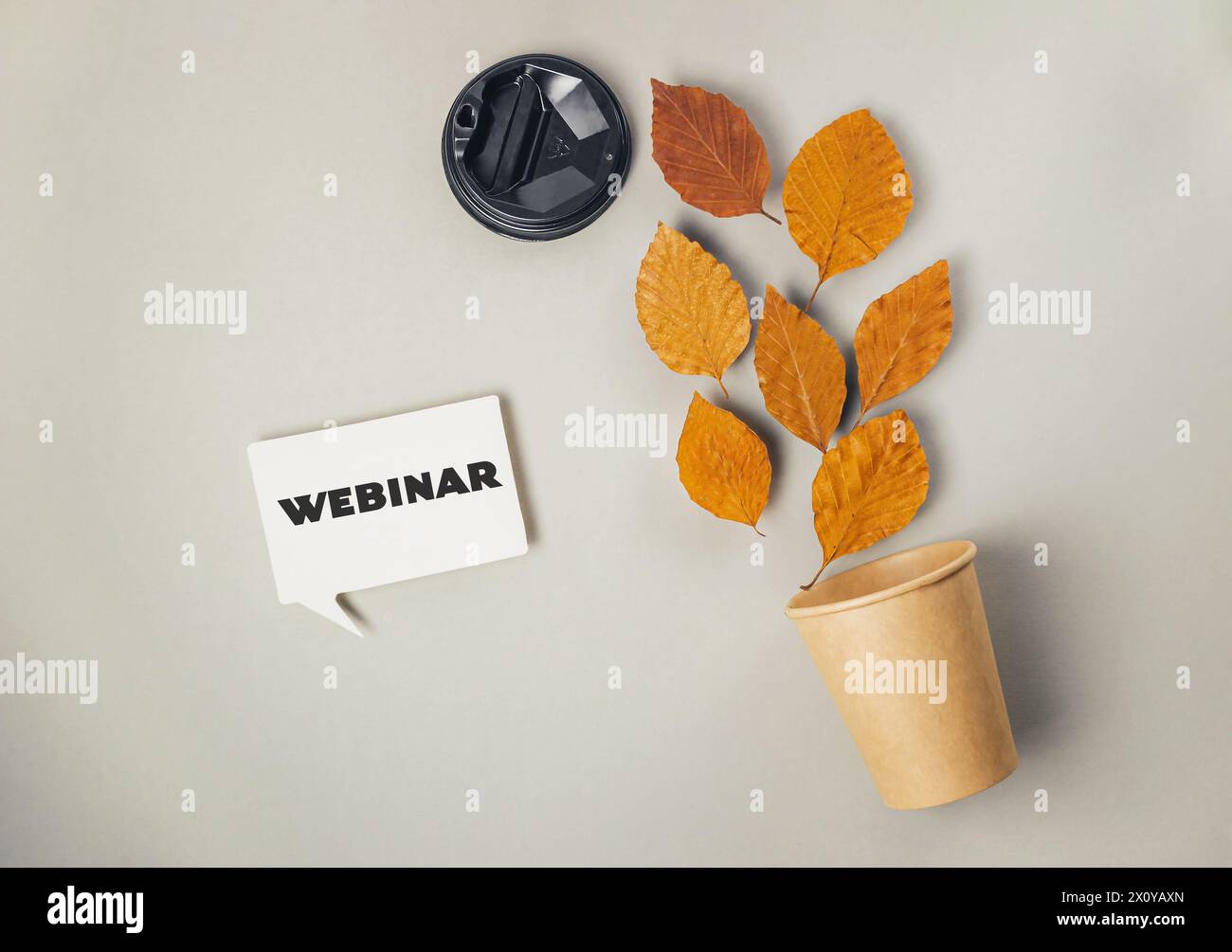 Accanto a una pianta in vaso con foglie, viene apposto un cartello bianco con la scritta "webinar" Foto Stock