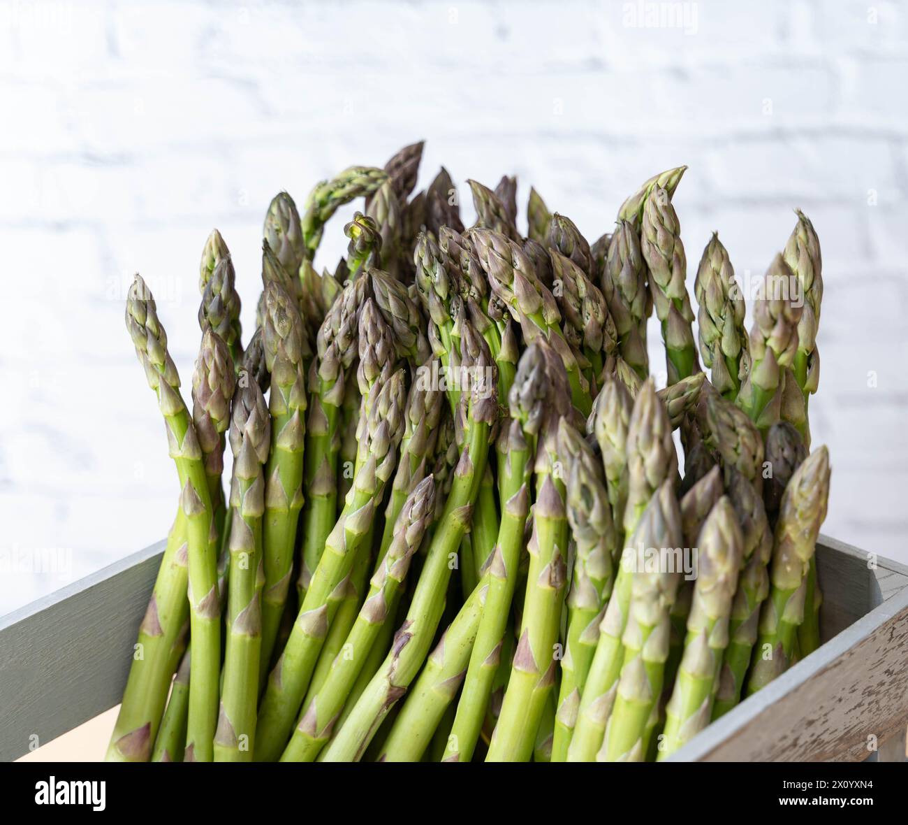 Gambi di asparagi verdi freschi in cassa grigia contro pareti in mattoni. Gambi verdi e croccanti pronti per essere cotti durante lo spargelzeit breve in Germania Foto Stock