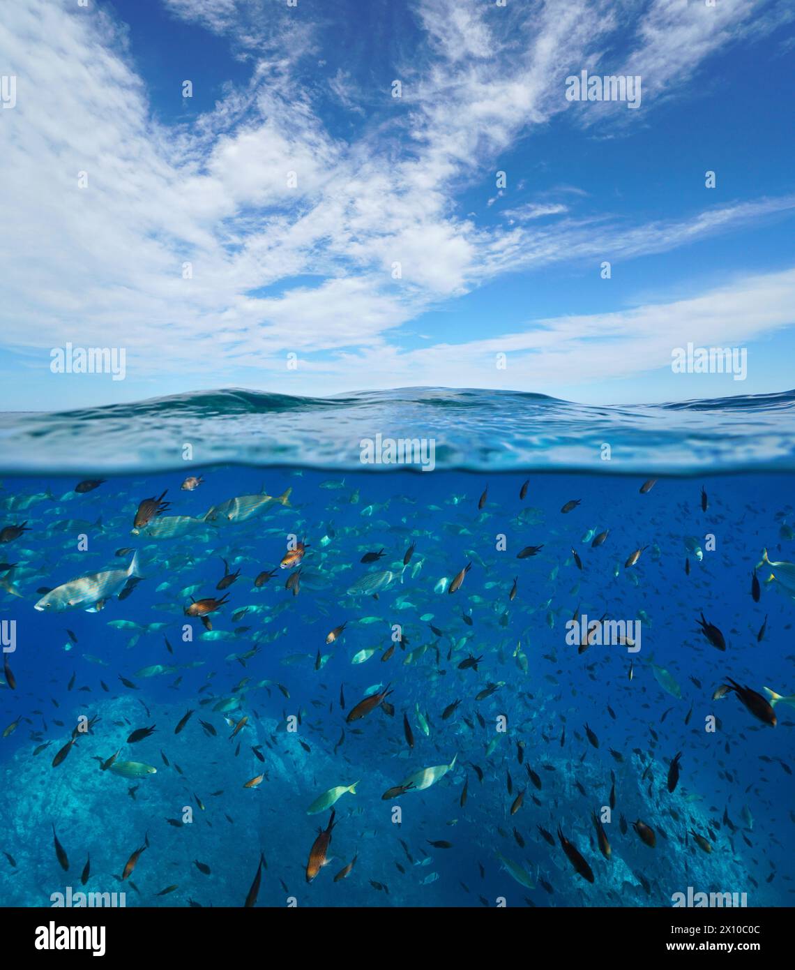 Banchina di pesci sott'acqua e cielo azzurro con nuvole, vista mare nel Mediterraneo, vista spaccata sulla superficie e sott'acqua, scenario naturale, Francia Foto Stock