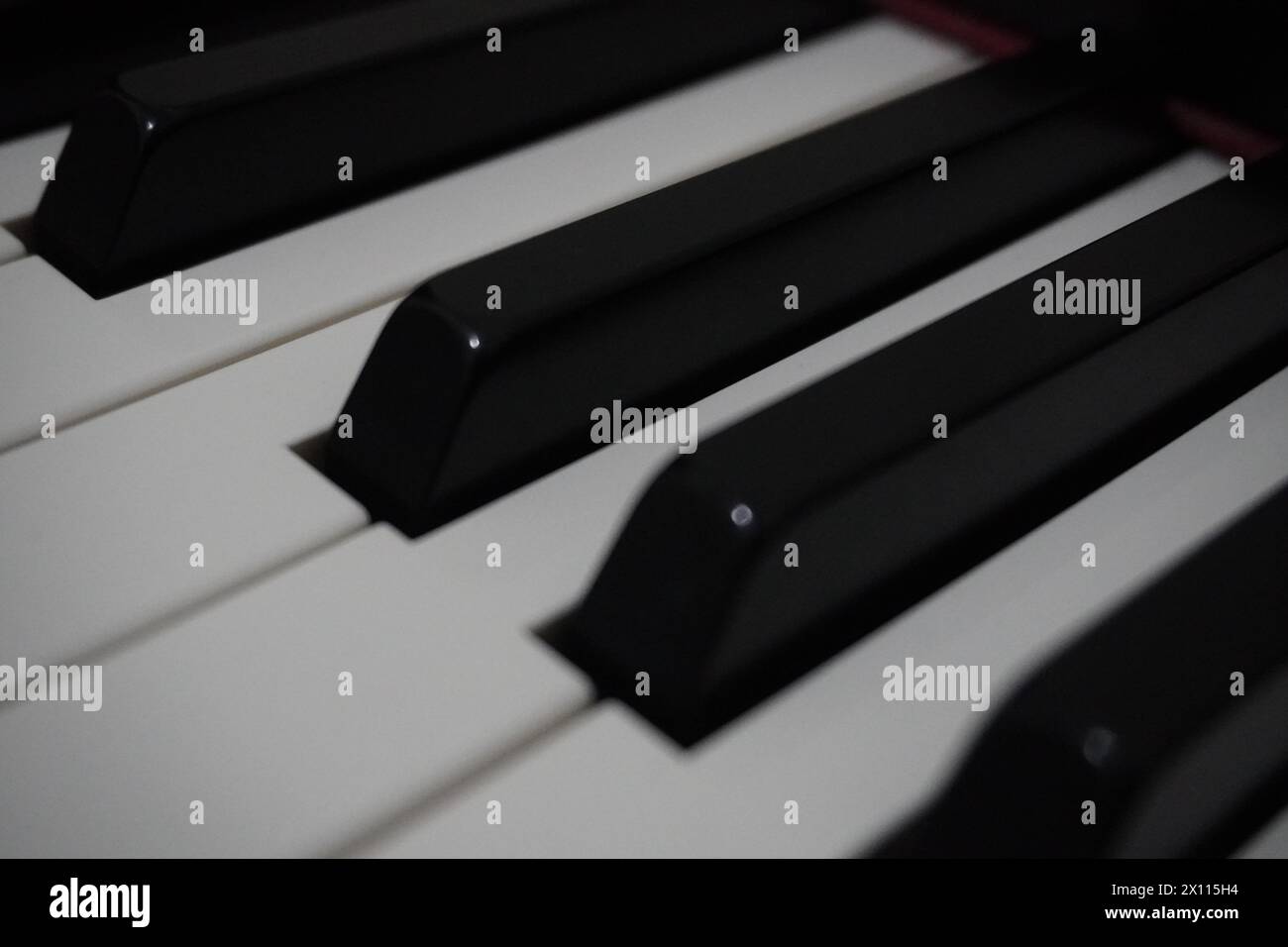 In bianco e nero di tasti di pianoforte close up Foto Stock