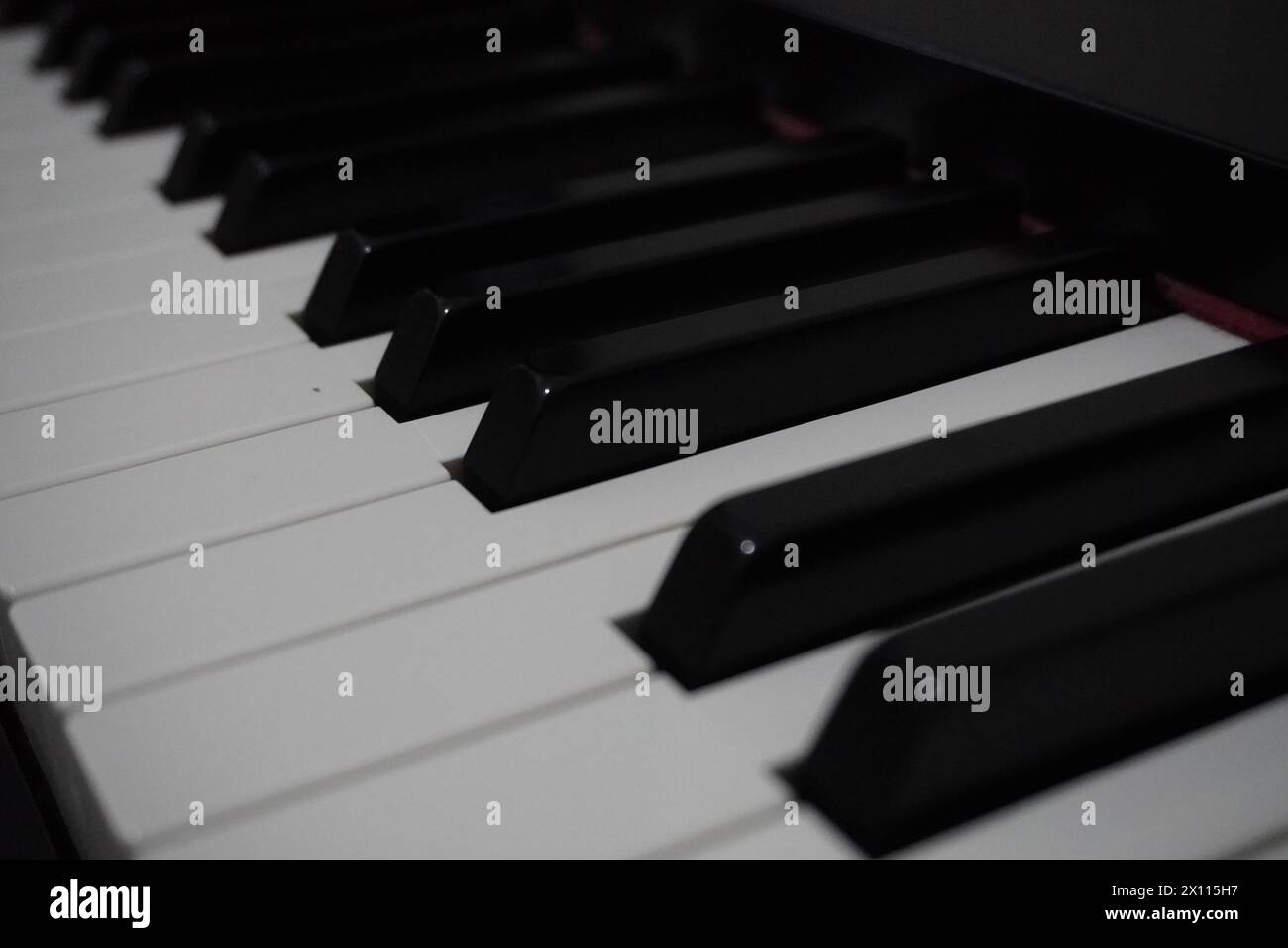 In bianco e nero di tasti di pianoforte close up Foto Stock