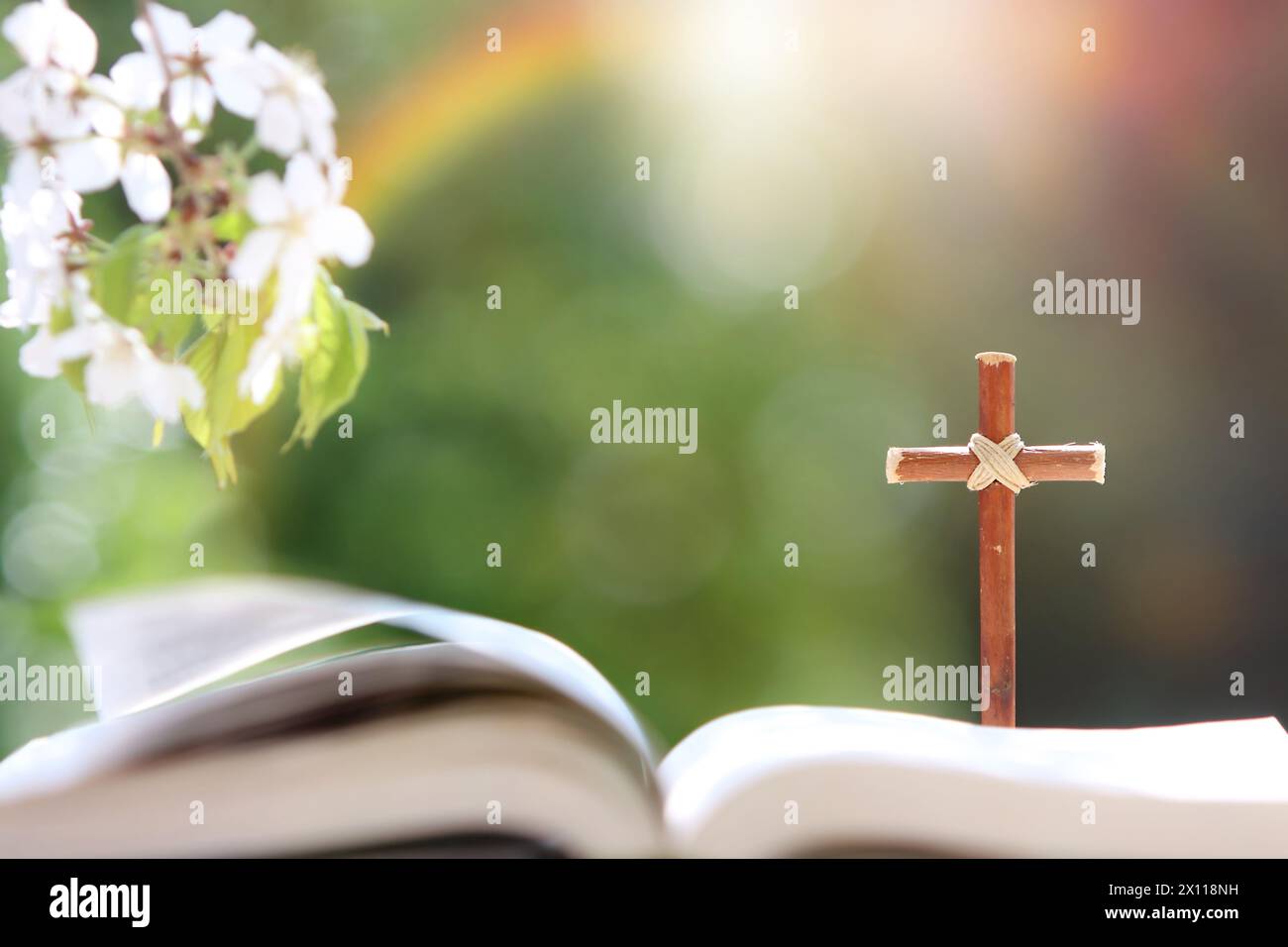 Sacra Bibbia e croce di Gesù Cristo nella ventosa giornata primaverile con fiori di ciliegio e luce solare sullo sfondo verde della foresta Foto Stock