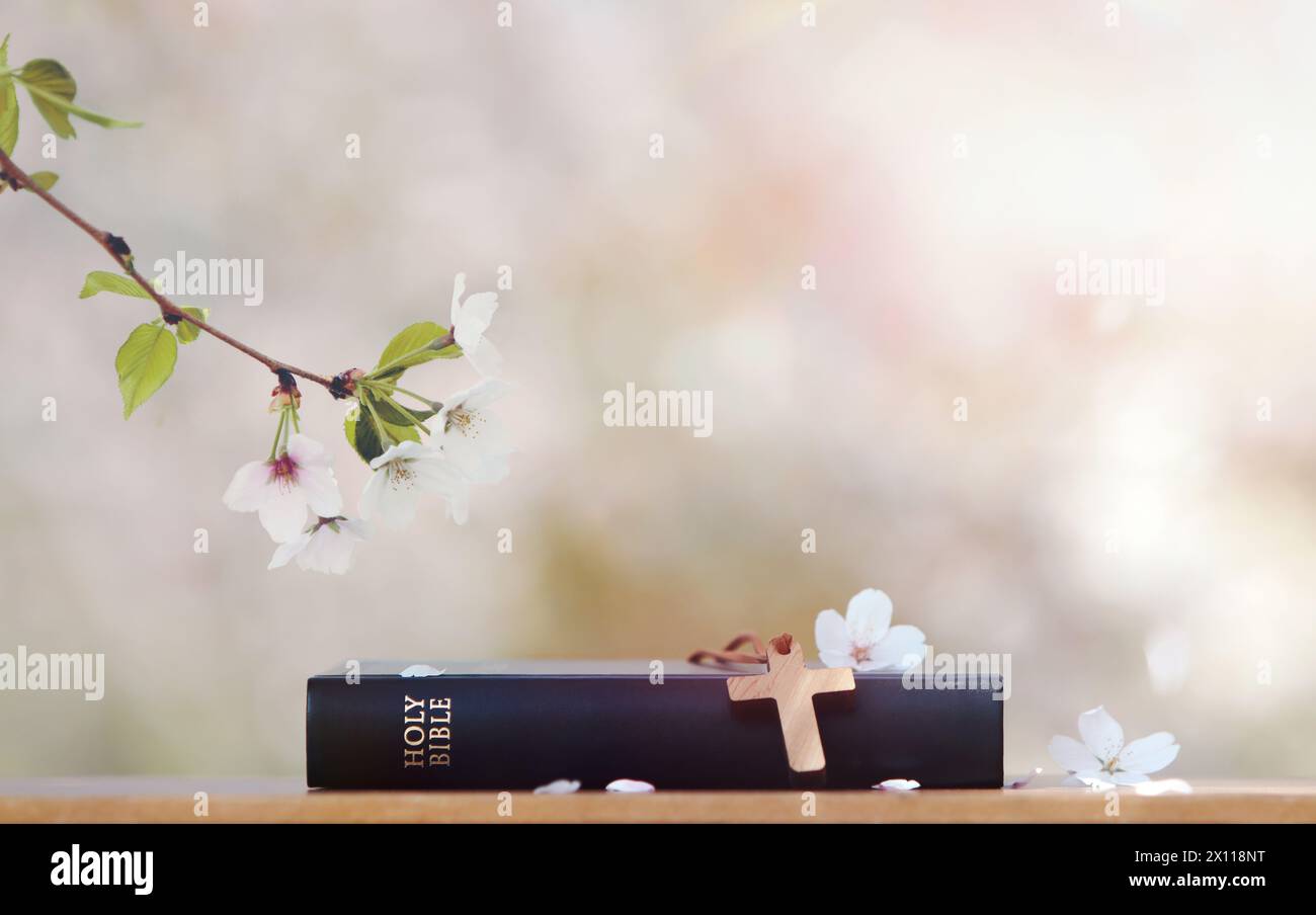 Sfondo primaverile con la croce di Gesù Cristo sulla Santa Bibbia, petali di fiori di ciliegio che soffiano nel vento e rami di ciliegio Foto Stock