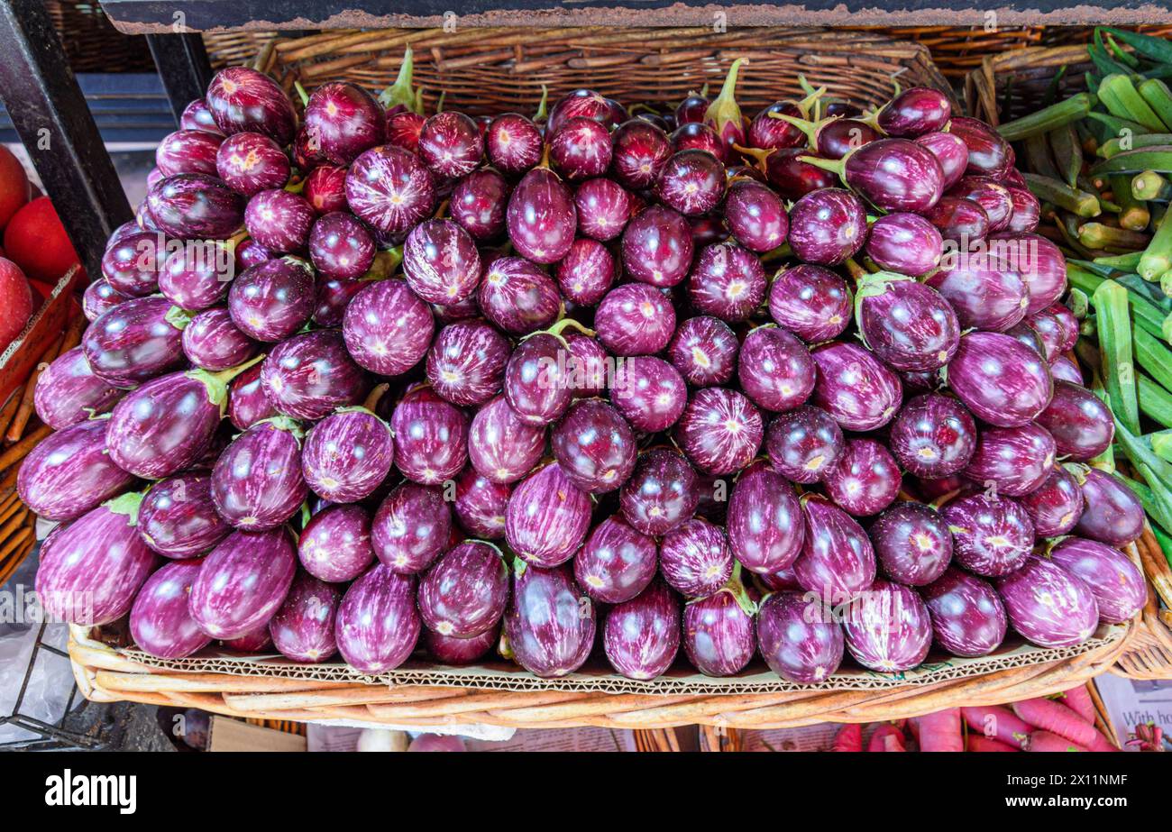Melanzane fresche in mostra in un chiosco a Little India, Singapore Foto Stock