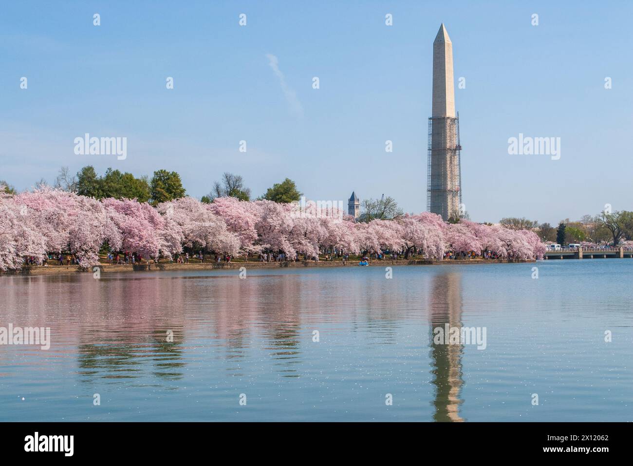 La costruzione dell'obelisco del monumento a Washington viene riparata dal bacino di marea sul centro commerciale al National Cherry Blossom Festival di Washington D.C., USA Foto Stock