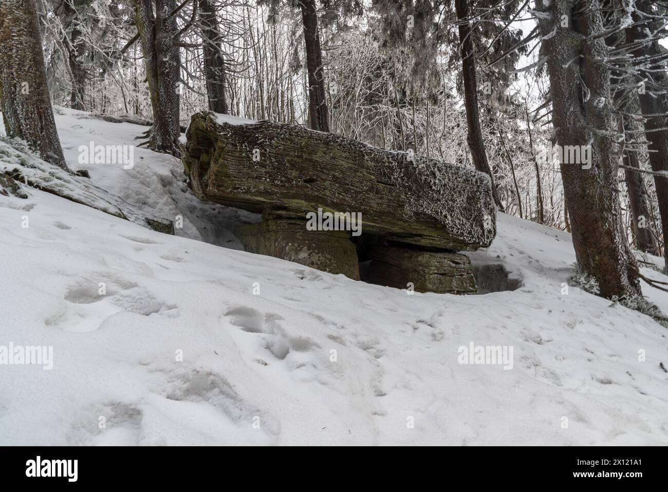 Misteriosa formazione rocciosa di Certuv stul con alberi intorno a Certuv mlyn collina vertice in inverno Moravskoslezske Beskydy montagne in ceco repubblica Foto Stock