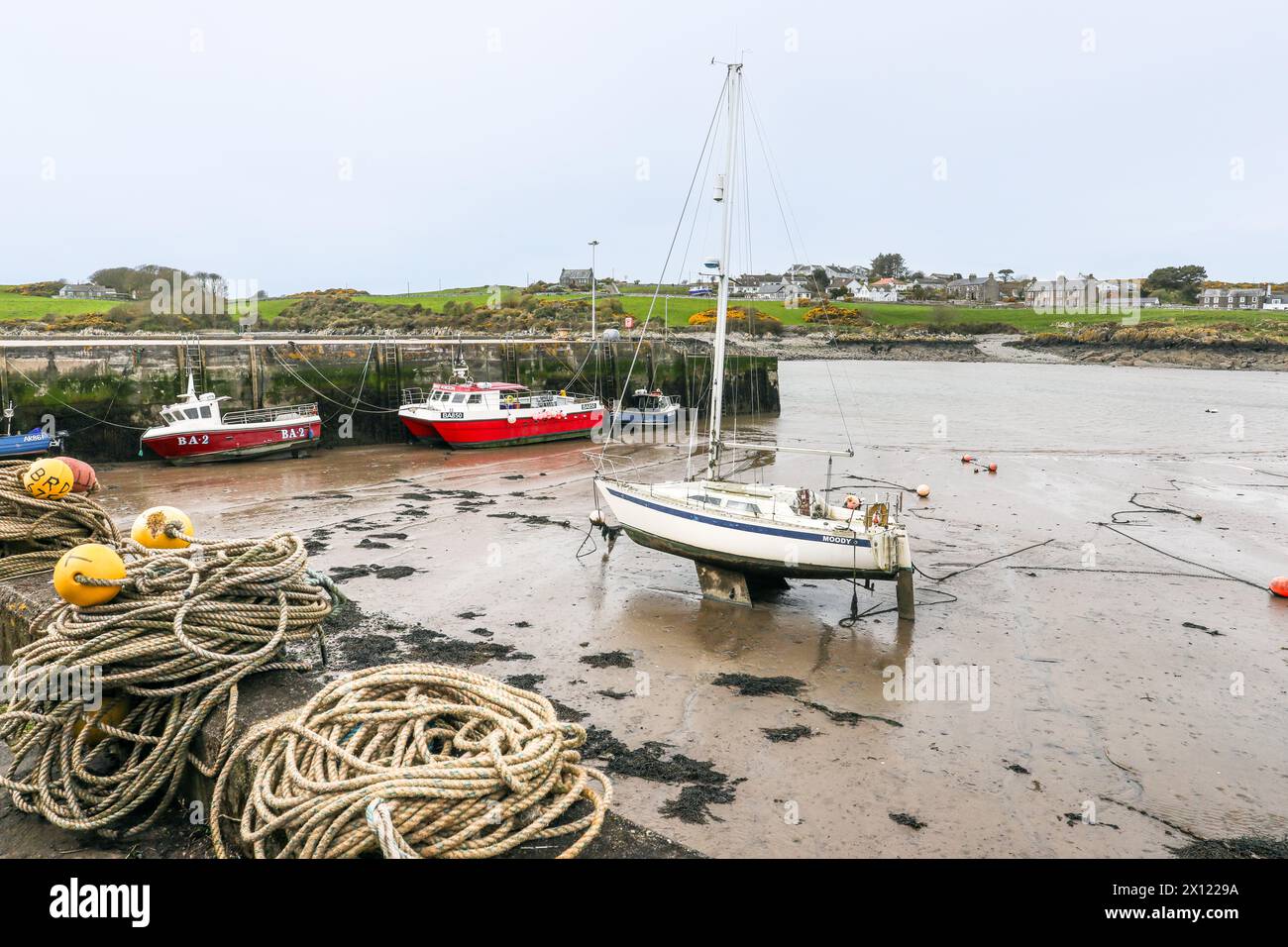 Porto dell'Isola di Whithorn con barche da pesca, yacht e corde da pesca e galleggianti, Dumfries e Galloway, Scozia, Regno Unito Foto Stock