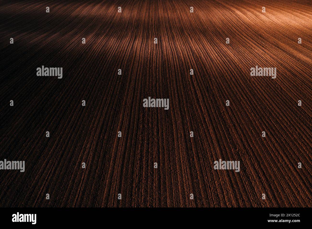 La luce del sole illumina il bellissimo disegno solcato del terreno agricolo arato, ripresa aerea dal drone pov, vista ad angolo alto Foto Stock