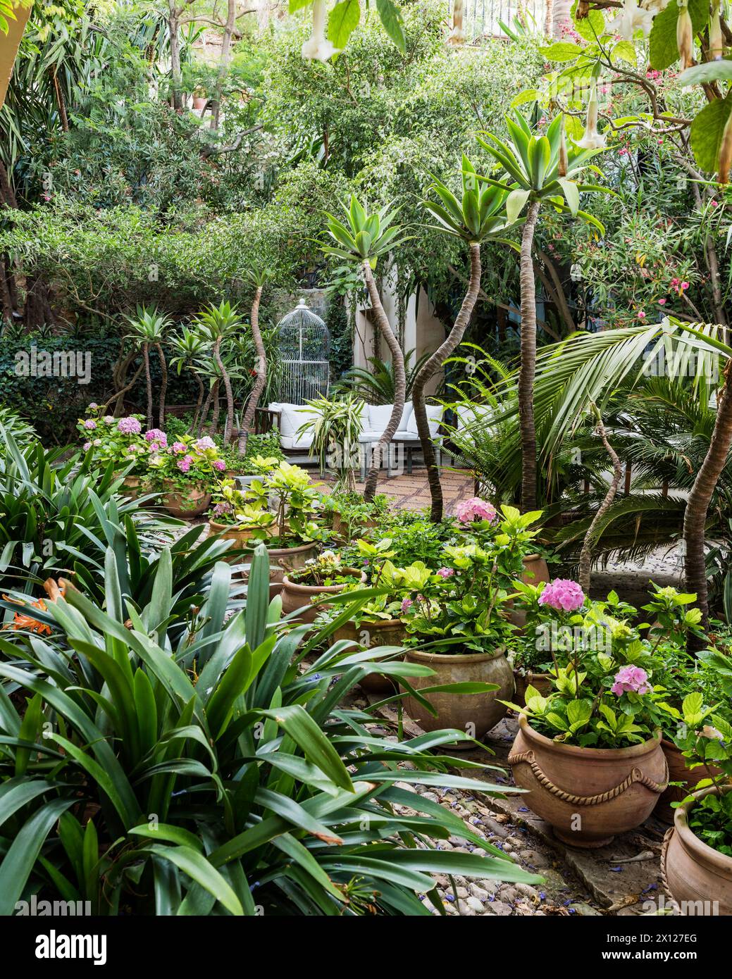 Vasi di terracotta nel giardino di palme a Mimi Calpe, villa di lusso francese degli anni '1950 e hotel a Tangeri, Marocco Foto Stock