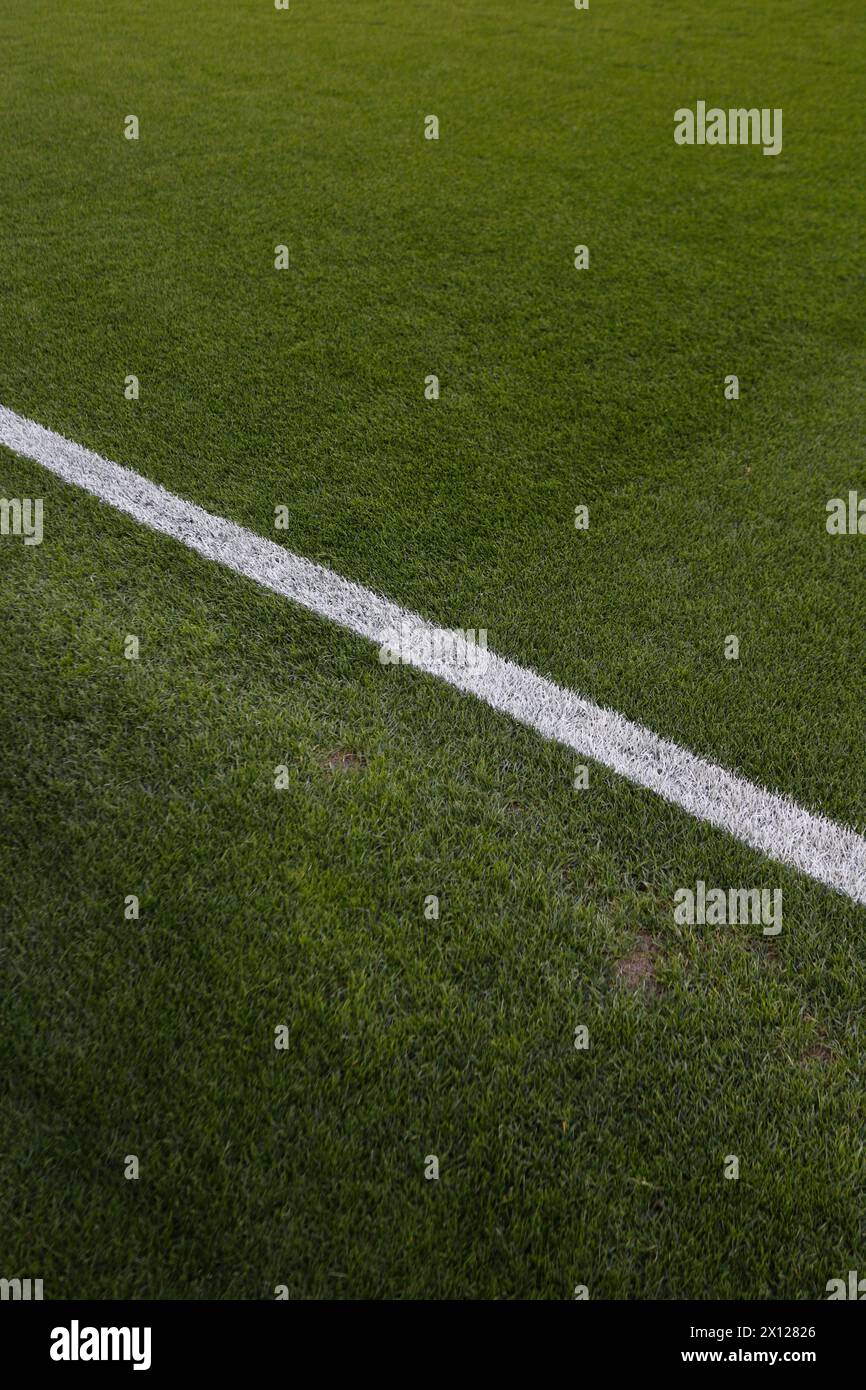 dettagli campo a piè di pagina Foto Stock