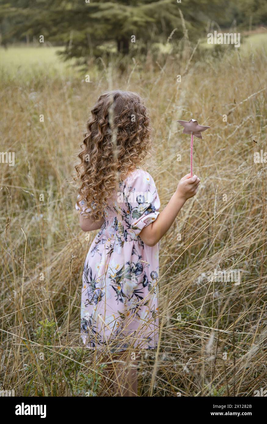 Ragazza dai capelli ricci vestita con un abito rosa che guarda in lontananza il campo estivo del raccolto campo di erba marrone Foto Stock