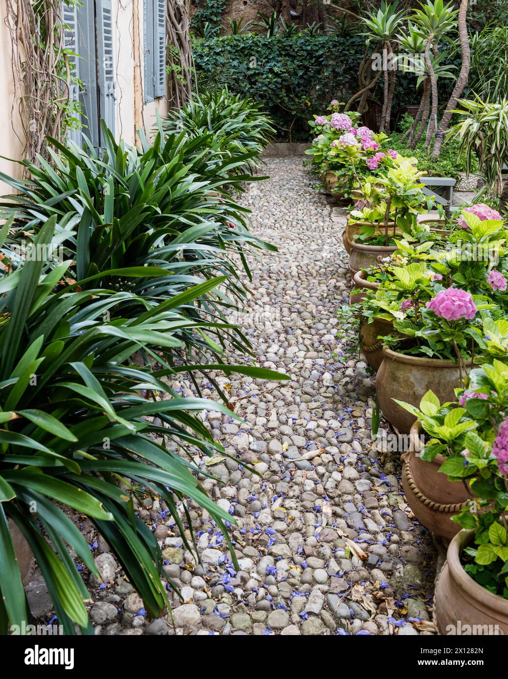 Sentiero acciottolato e piante di vaso a Mimi Calpe, villa e hotel di lusso francese degli anni '1950 a Tangeri, Marocco Foto Stock