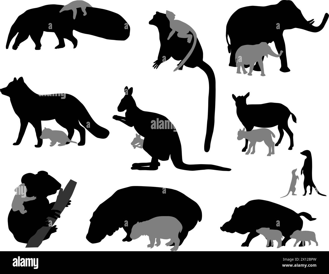Sagome di animali selvatici con i loro figli: Formichiere, elefante, volpe, canguro, capra, vitello, koala, ippopotamo, lemuri, cinghiali, cinghiale, meerkat Illustrazione Vettoriale
