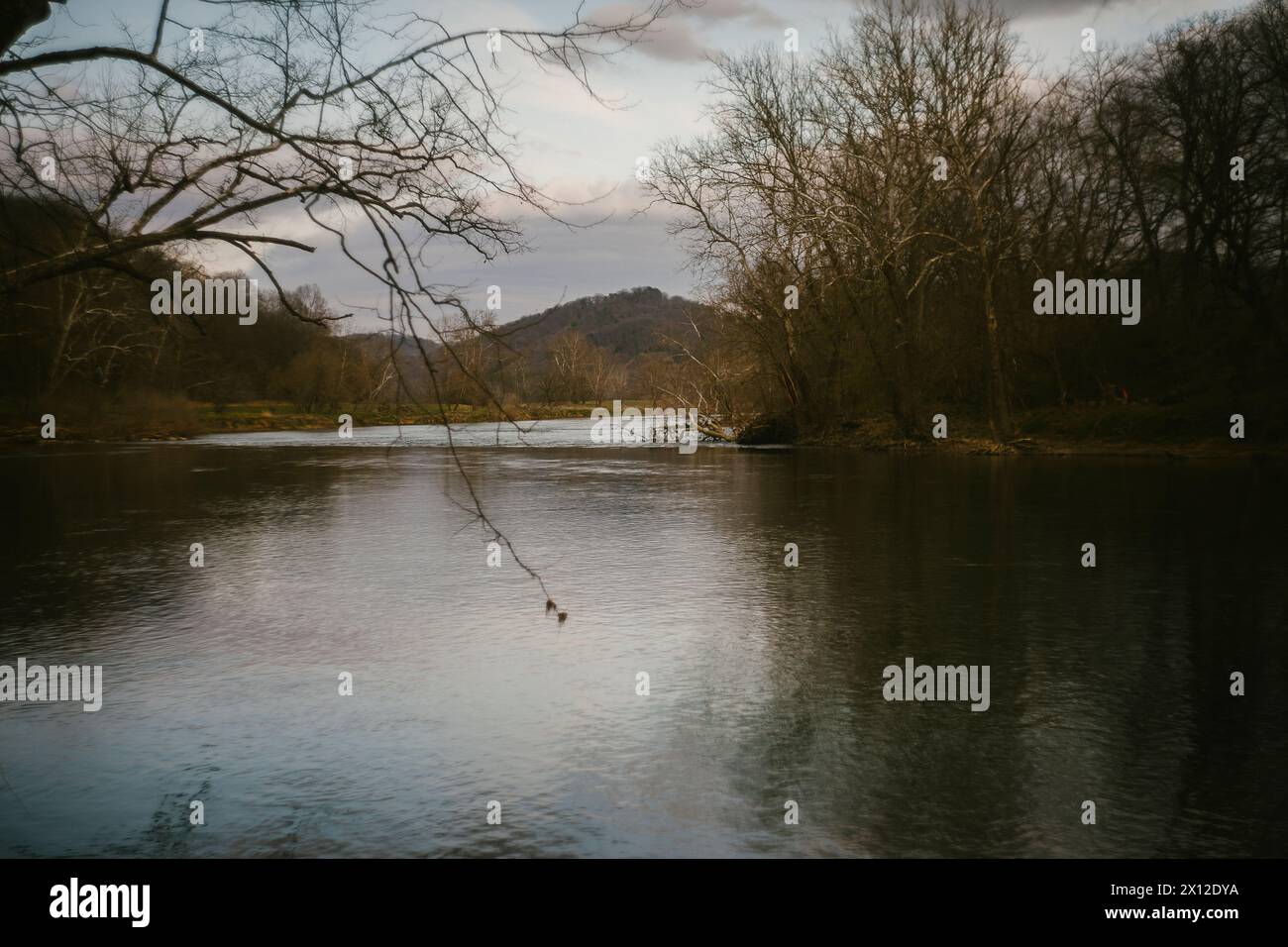 Vista delle Blue Ridge Mountains che si affacciano sul fiume Shenandoah Foto Stock