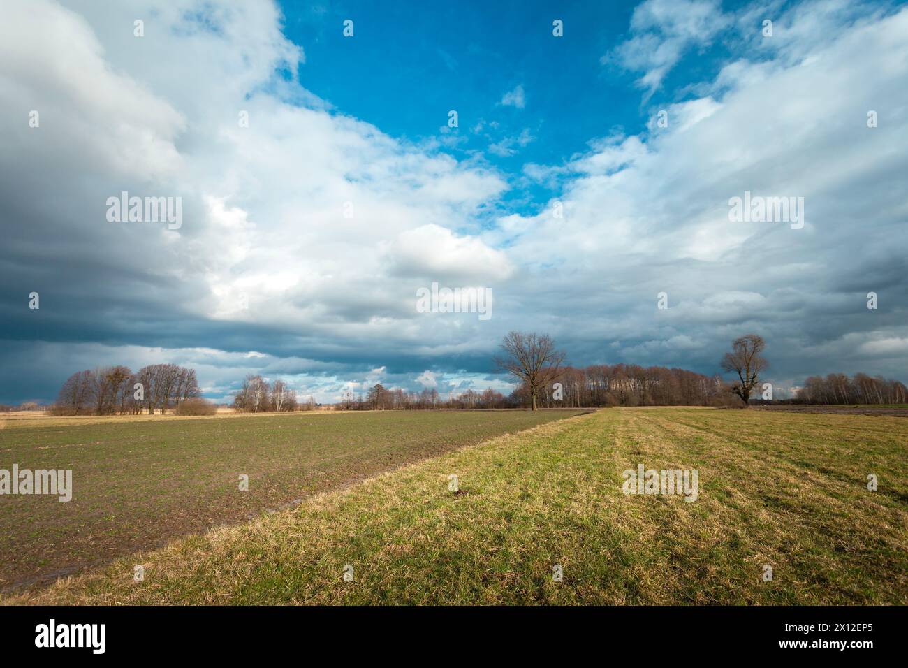 Nuvole piovose scure sul campo e sul prato, giorno di febbraio, Polonia orientale Foto Stock