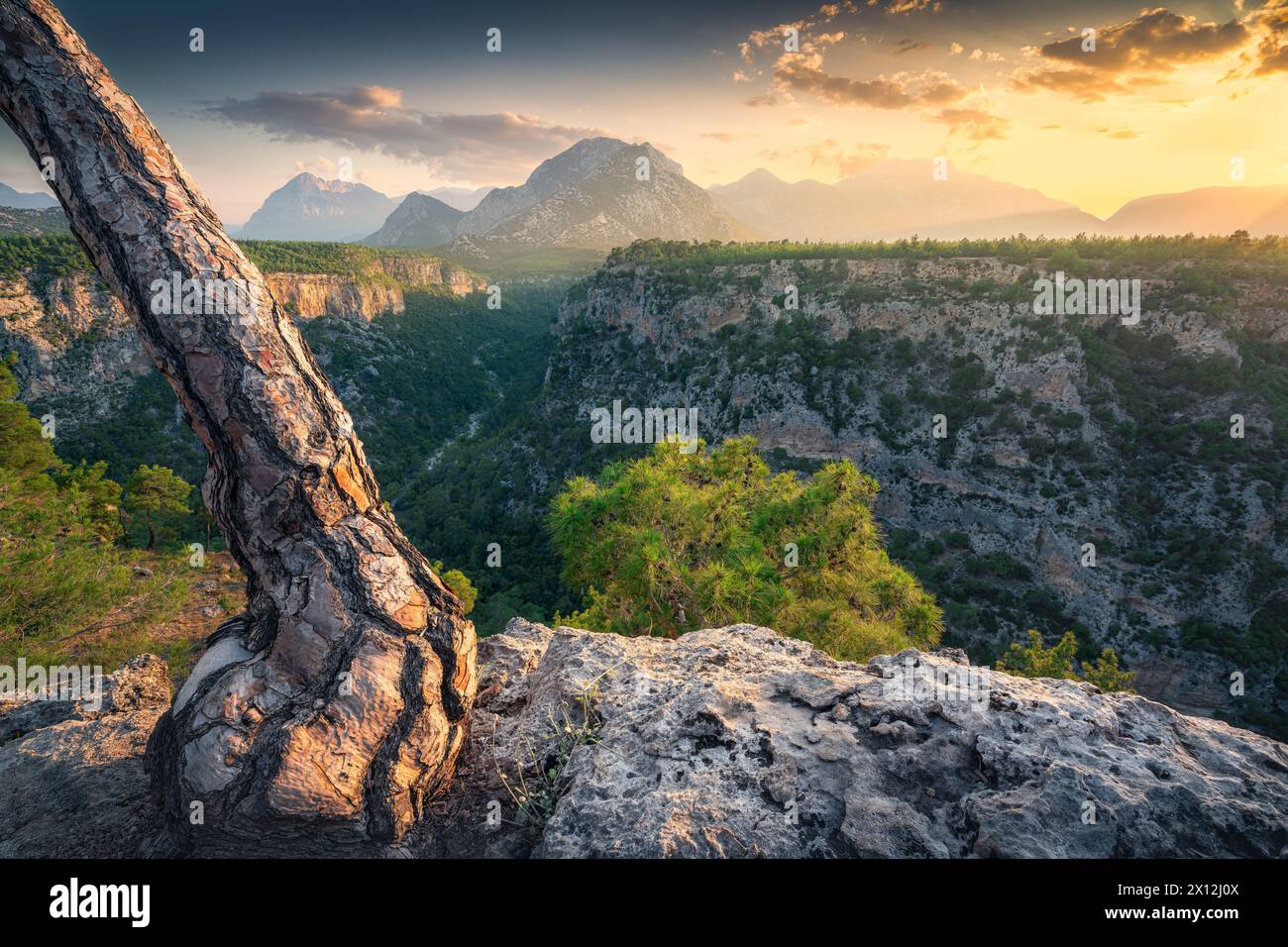 Spettacolare canyon, montagne e pino al tramonto vicino ad Antalya, Turchia Foto Stock