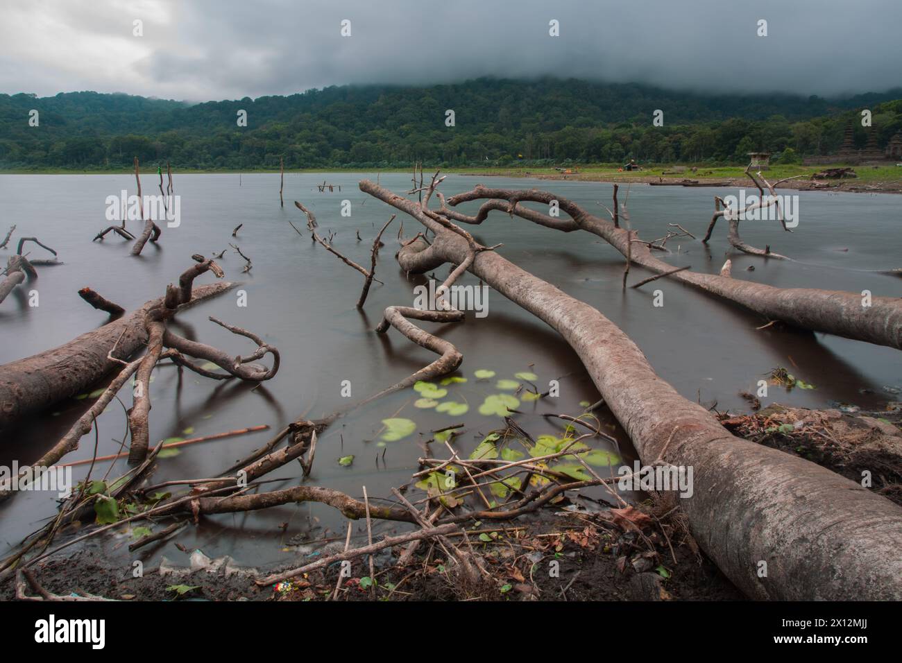 Lake Tamblingan è un lago caldera situato a Buleleng Regency, Bali. Il lago si trova ai piedi del Monte Lesung nel villaggio amministrativo di Munduk Foto Stock