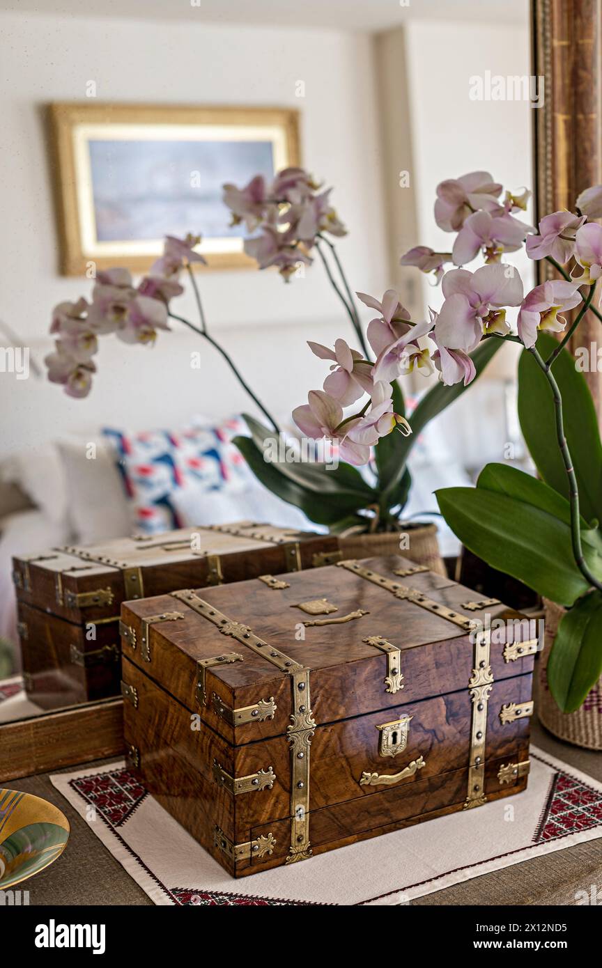 Orchidea che fiorisce nello specchio con portagioie nella residenza sul fiume Tamigi, Londra, Regno Unito Foto Stock