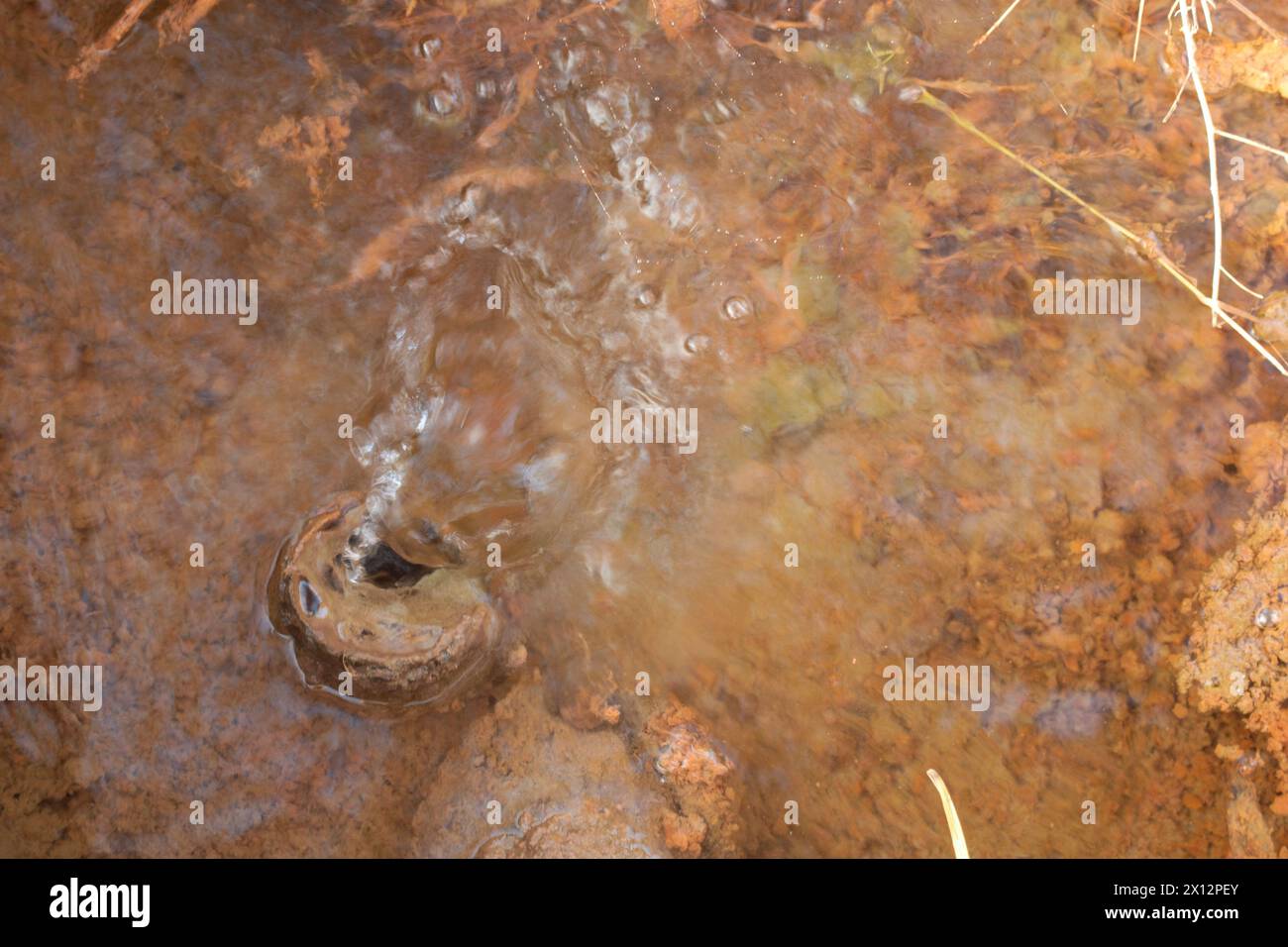 immagine a infrarossi della perdita di acqua dal tubo rotto e arrugginito dal suolo. Foto Stock