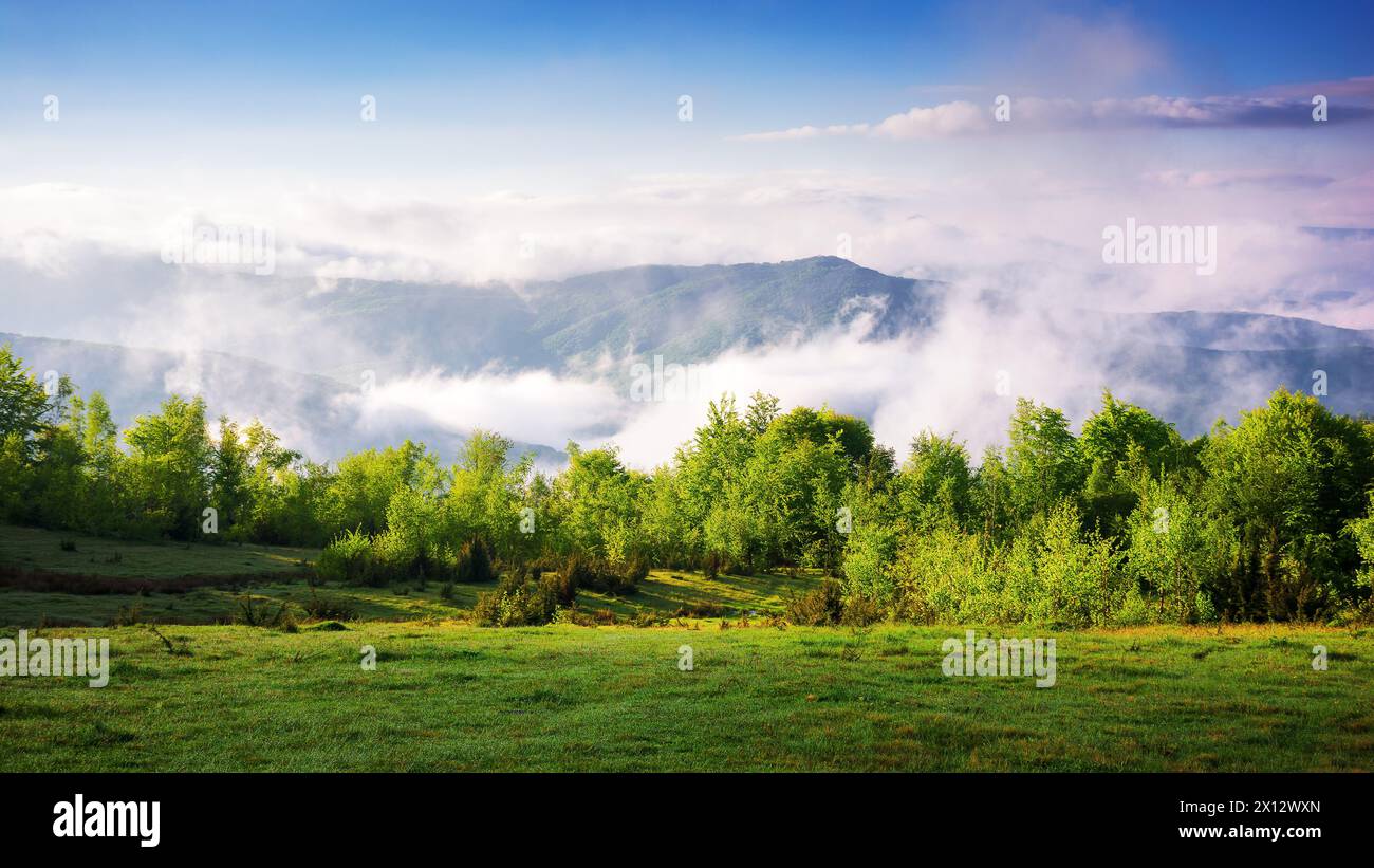 paesaggio della campagna dei carpazi in una mattinata di sole in primavera. paesaggio montuoso con colline boscose e nebbia nella valle lontana. nuvole sopra il Foto Stock
