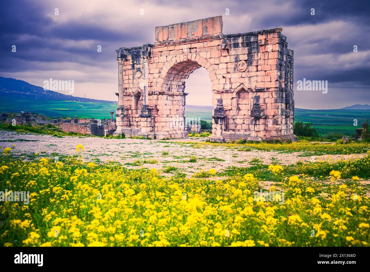 Volubilis, Marocco. Arco trionfale di Caracalla nell'antica città romana del Nord Africa, provincia della Mauretania. Foto Stock