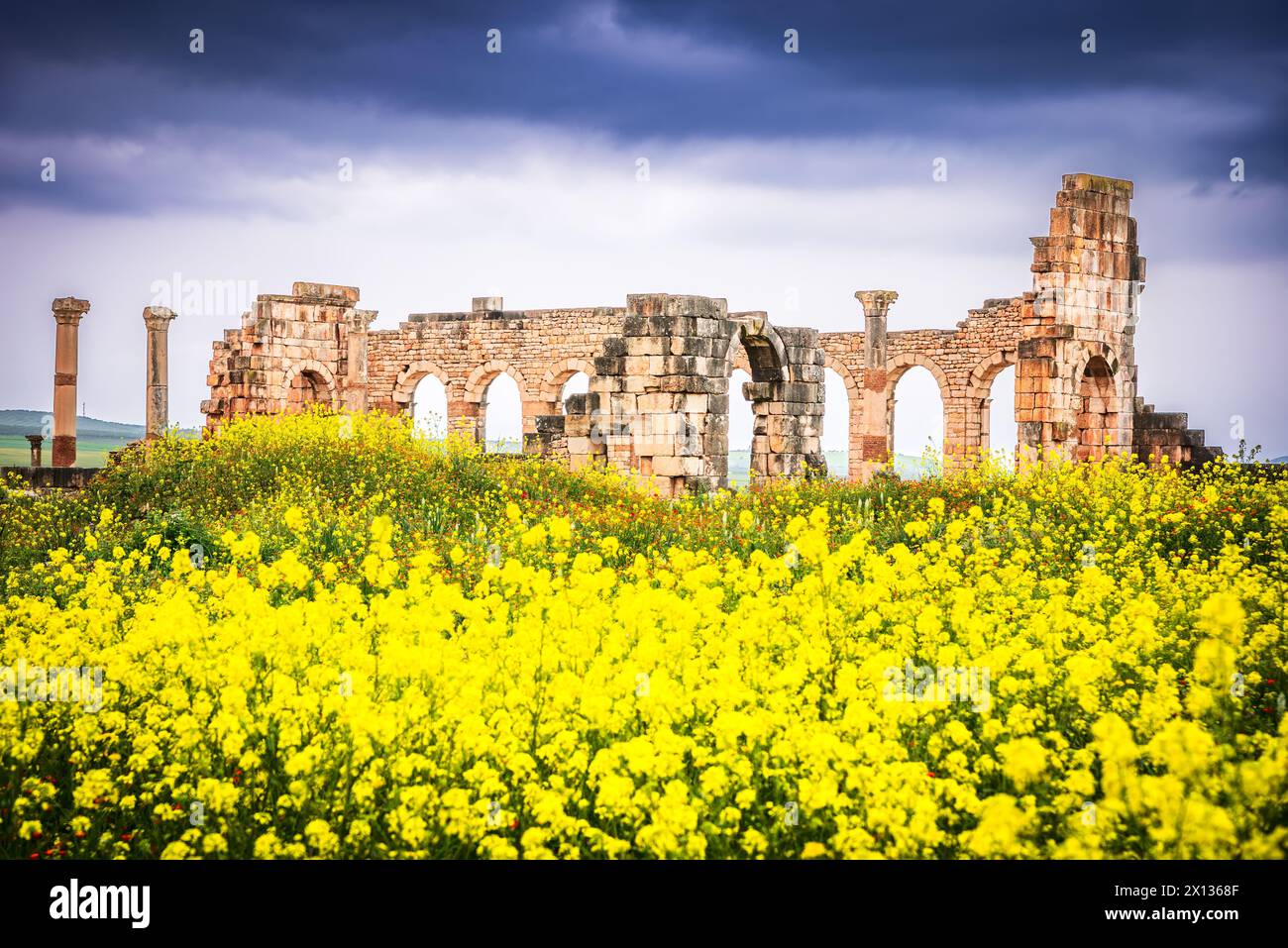Volubilis, Marocco. Antica città, comunemente considerata come l'antica capitale del regno di Mauretania. Rovine della basilica romana. Foto Stock