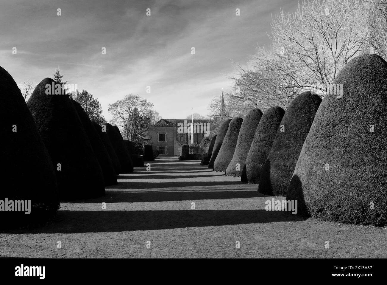 I giardini di Holme Pierrepont Hall, Nottinghamshire, Inghilterra, Regno Unito Foto Stock