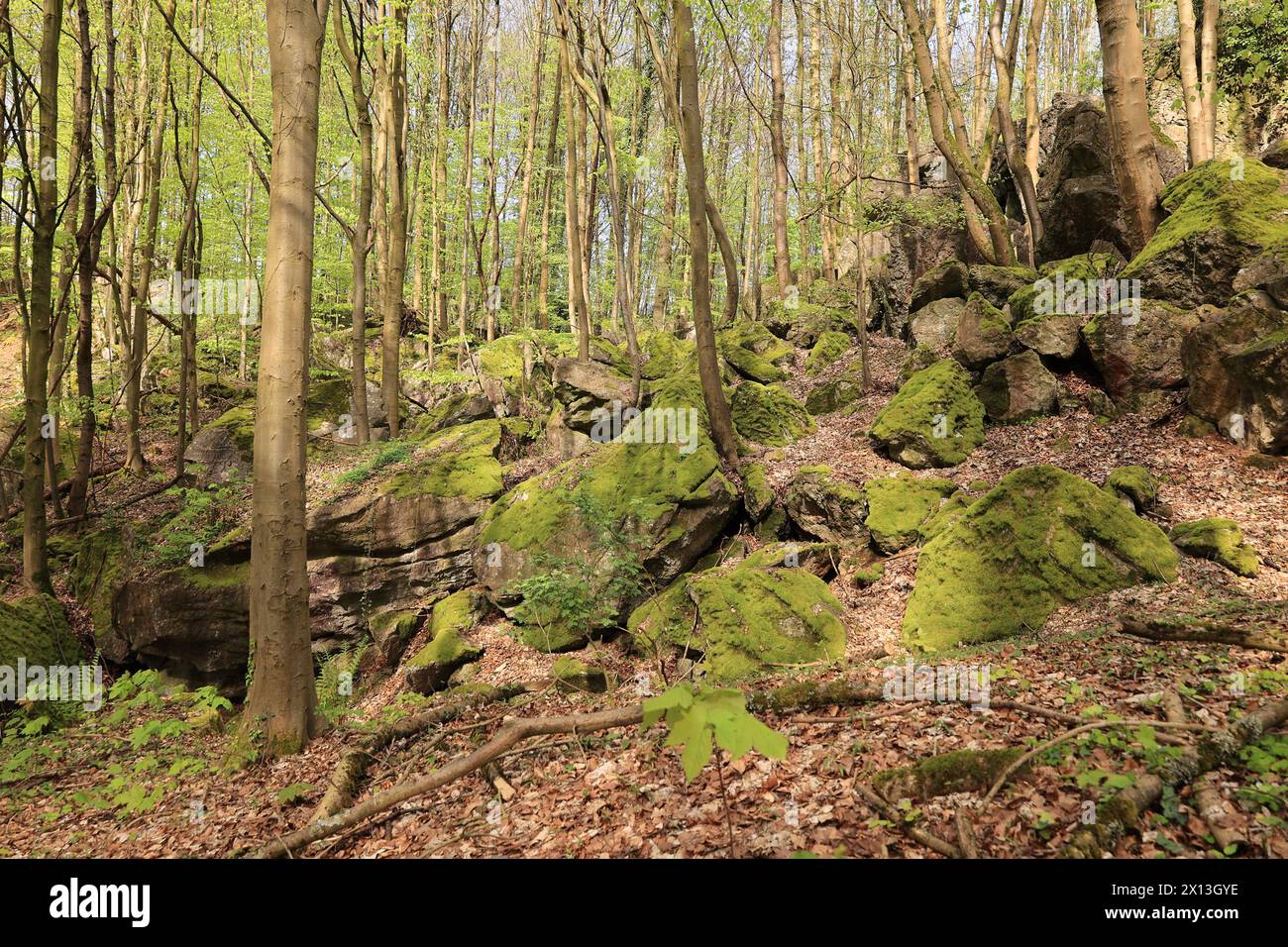 Schöner Frühlingstag im Felsenmeer a Hemer im Sauerland Foto Stock