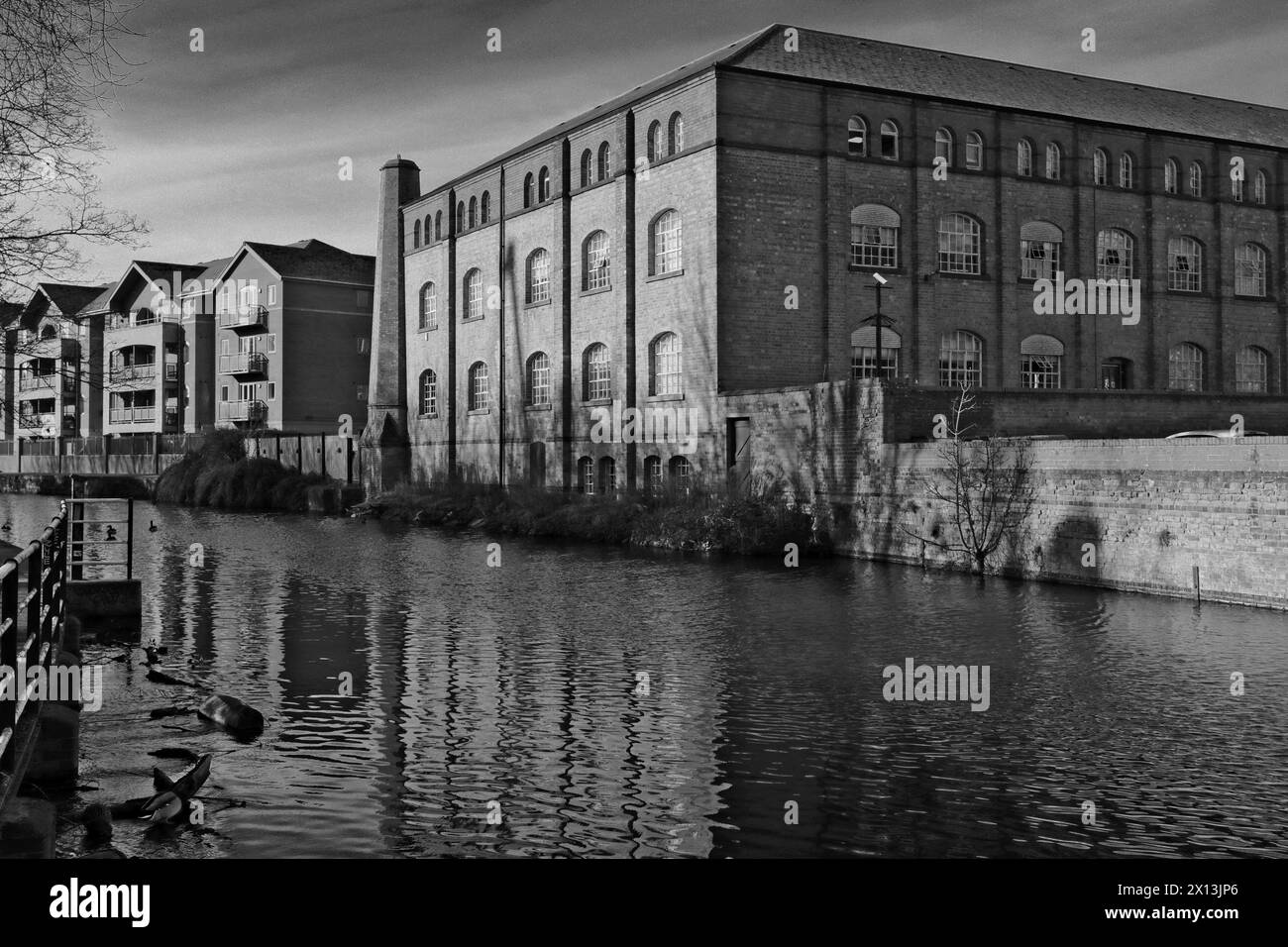 Edifici lungo il canale di Nottingham e Beeston, Castle Wharf, zona Waterfront della città di Nottingham, Nottinghamshire, Inghilterra, Regno Unito Foto Stock