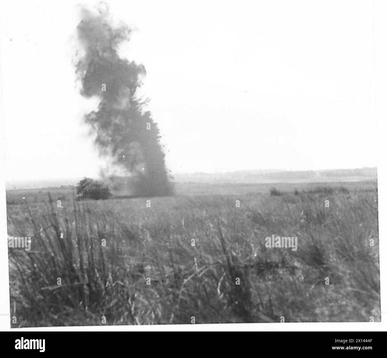 Un campo minato è detonato da un siluro come parte di una dimostrazione di ostacoli nell'area del comando settentrionale. Foto Stock