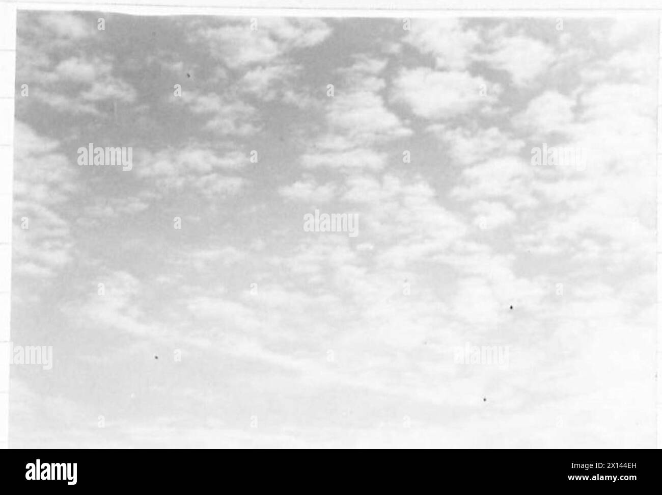 Un soldato della 1st Polish Independent Parachute Brigade assume la posizione e spara sul suo obiettivo durante un'esercitazione di due giorni da paracadutisti polacchi a Lauder Common nel comando scozzese. Foto Stock