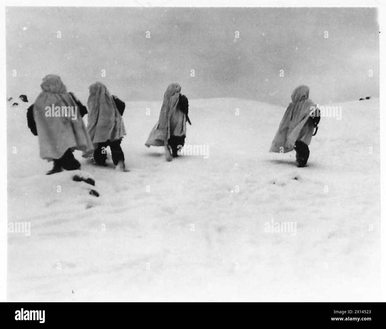 Una pattuglia camuffata di neve della 2a compagnia, 1st Battalion, 1st Rifles Brigade, 3rd Carpathian Rifles Division, 2nd Polish Corps, si muove attraverso la terra di nessuno ricoperta di neve vicino a Rionero in Vulture, Italia, 14 febbraio 1944. Foto Stock