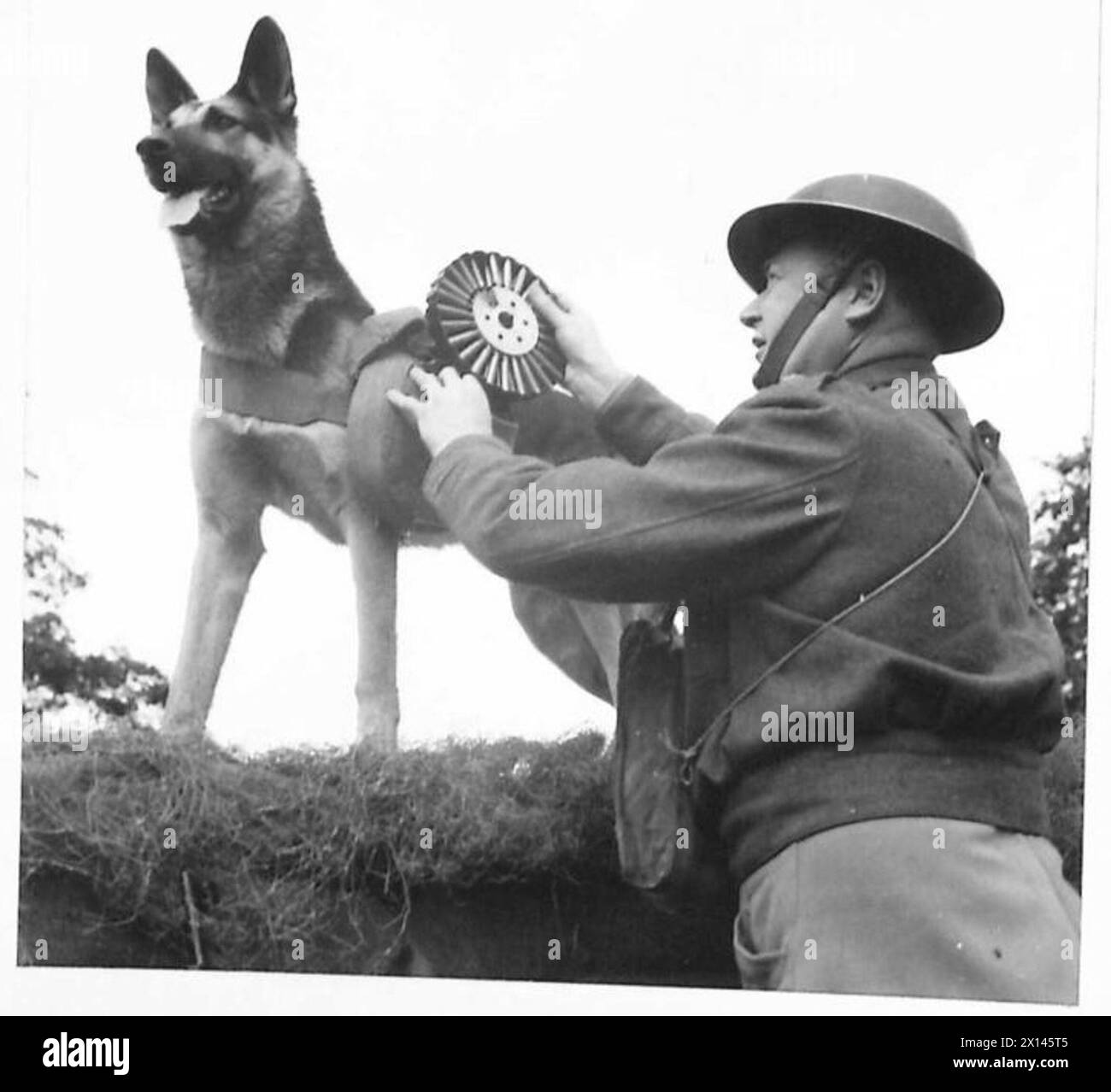 Panoramica delle operazioni, dell'addestramento e degli schieramenti dell'esercito britannico in Gran Bretagna nel periodo 1939-1945. Foto Stock