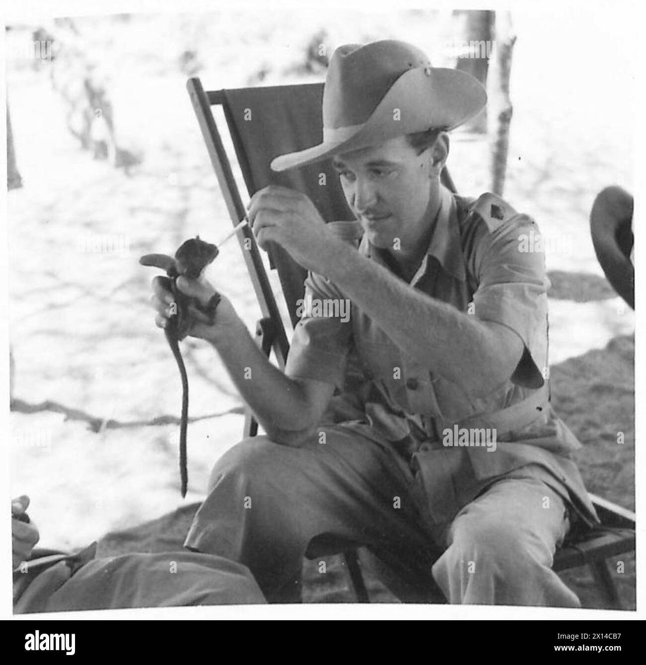 Un ufficiale del King's African Rifles sul fronte del Kenya dà da mangiare a una scimmia Sykes di cinque giorni con uno stucco a penna stilografica. Foto Stock