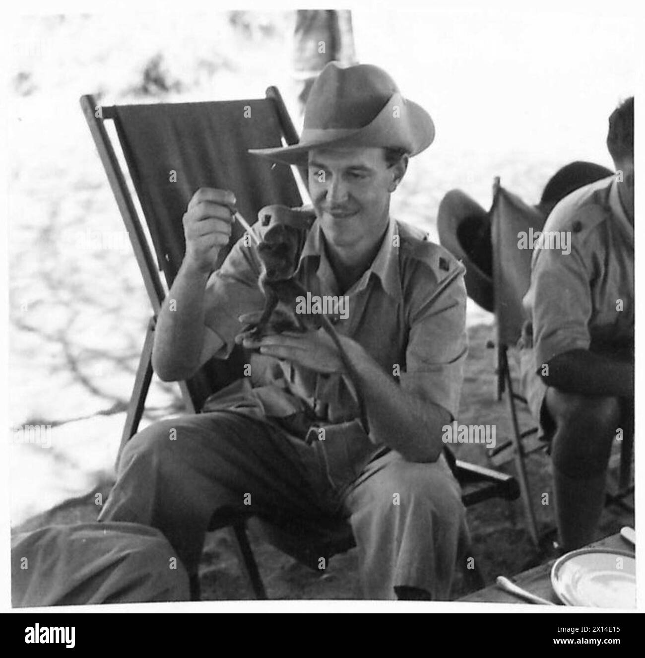 Un ufficiale del King's African Rifles nutre una scimmia Sykes di cinque giorni usando il latte di uno stucco con penna stilografica sul fronte del Kenya. Foto Stock