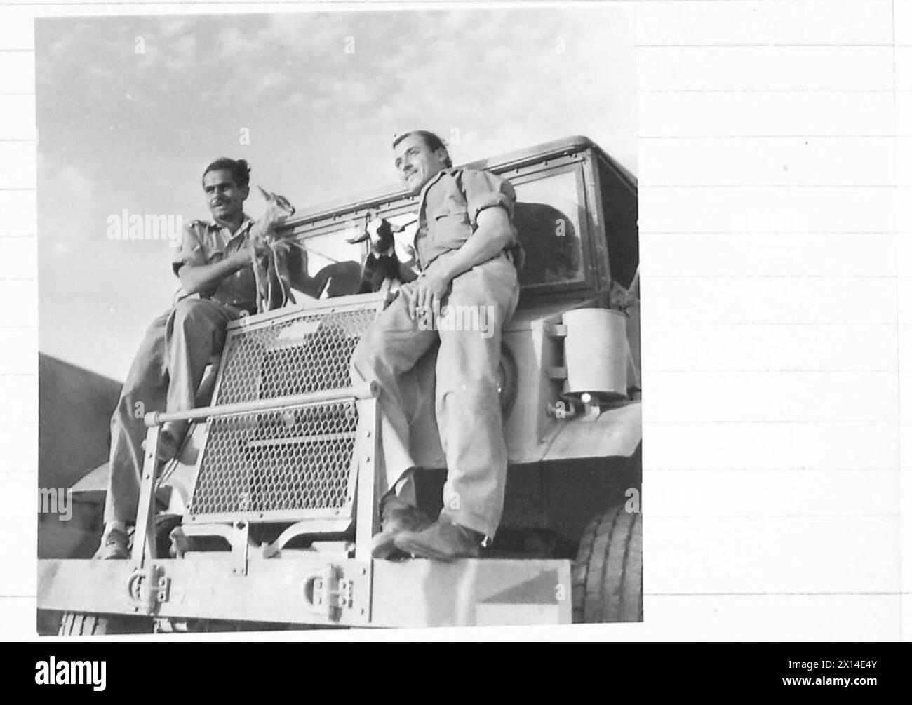 Due conducenti palestinesi, Ahmed Haafi e Mohamed Sufi, vengono mostrati con una gazzella e un bambino appena nato, mentre le forze alleate percorrono lunghe distanze per il controllo delle carrube sotto le Nazioni Unite. Foto Stock