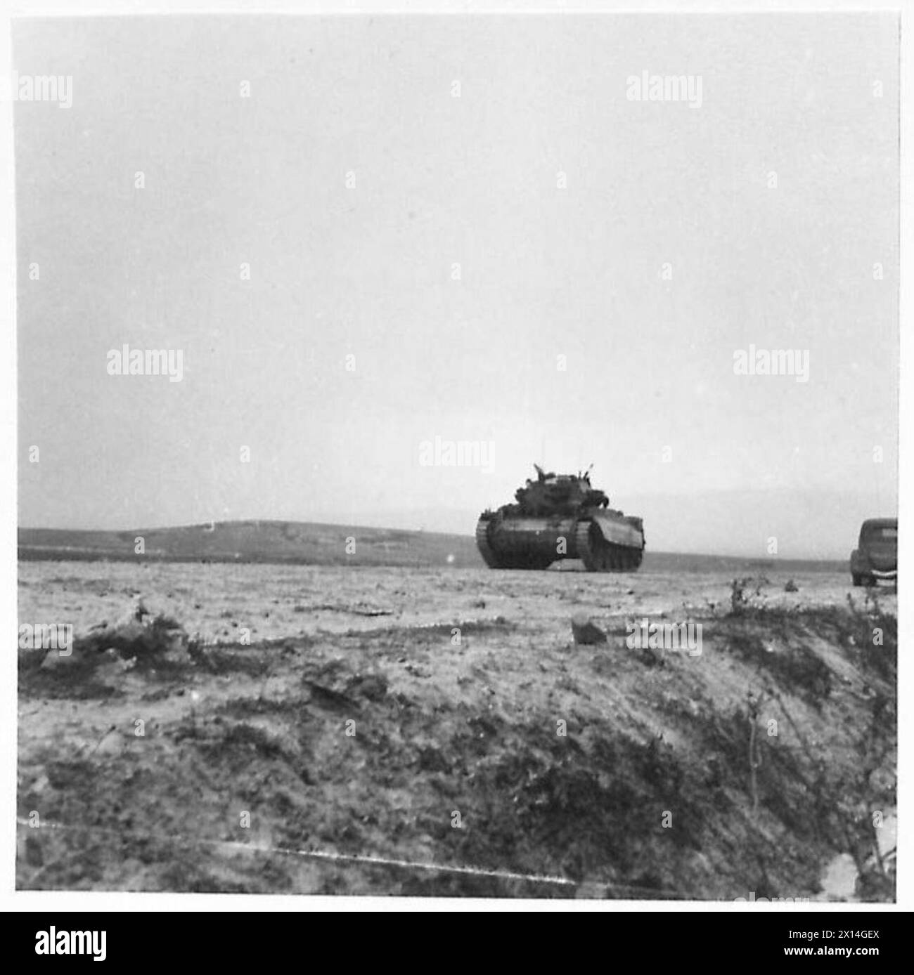 L'ESERCITO BRITANNICO NELLA CAMPAGNA DI TUNISIA, NOVEMBRE 1942-MAGGIO 1943 - UN CROCIATO MK. III carro armato del 17th/21st Lancers (26th Armoured Brigade, 6th Armoured Division) sulla strada Bou Arada durante l'attacco alla collina "Two Tree". La battaglia di Bou Arada. Un posto di osservazione in avanti detenuto dai tedeschi era conosciuto come "Two Tree" Hill poiché sul suo punto più alto crescevano due alberi. Era importante prendere la collina in quanto aveva una posizione vantaggiosa comandando tutti gli avvicinamenti per molte miglia intorno. La sera del 10 gennaio una pattuglia di carri tedeschi, di circa quindici uomini, si avvicinò e raggiunse la periferia Foto Stock