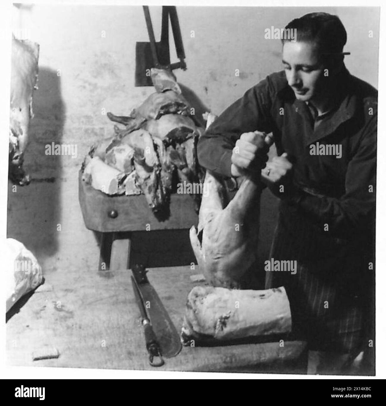 Un macellaio dell'esercito viene mostrato mentre taglia un agnello nelle articolazioni presso la macelleria del battaglione della Scots Guards durante le operazioni dell'esercito britannico. Foto Stock