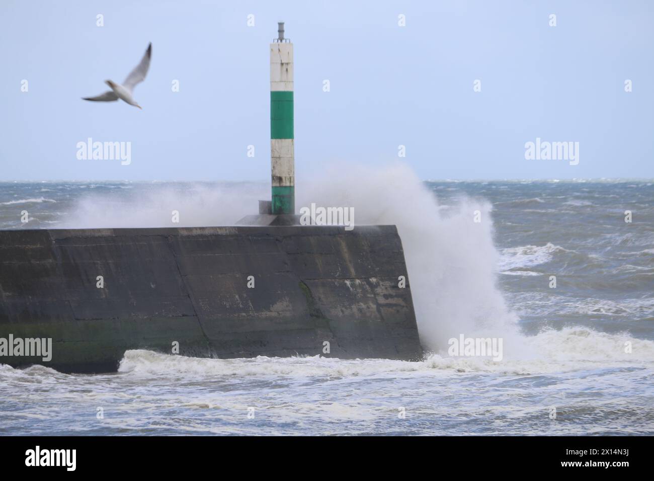Aberystwyth Galles Regno Unito Meteo 15 aprile 2024. Forti venti di forte forza battono le zone costiere del Galles occidentale guidando in enormi onde che si schiantano contro la passeggiata e le difese portuali di Aberystwyth, credito: mike davies/Alamy Live News Foto Stock
