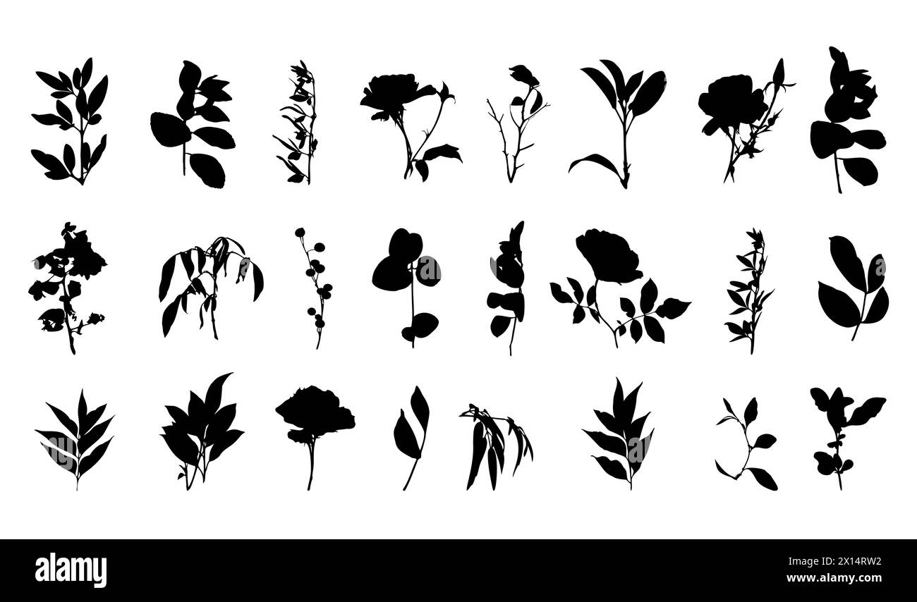 Silhouette floreali botaniche incastonate di piante disegnate a mano Illustrazione Vettoriale