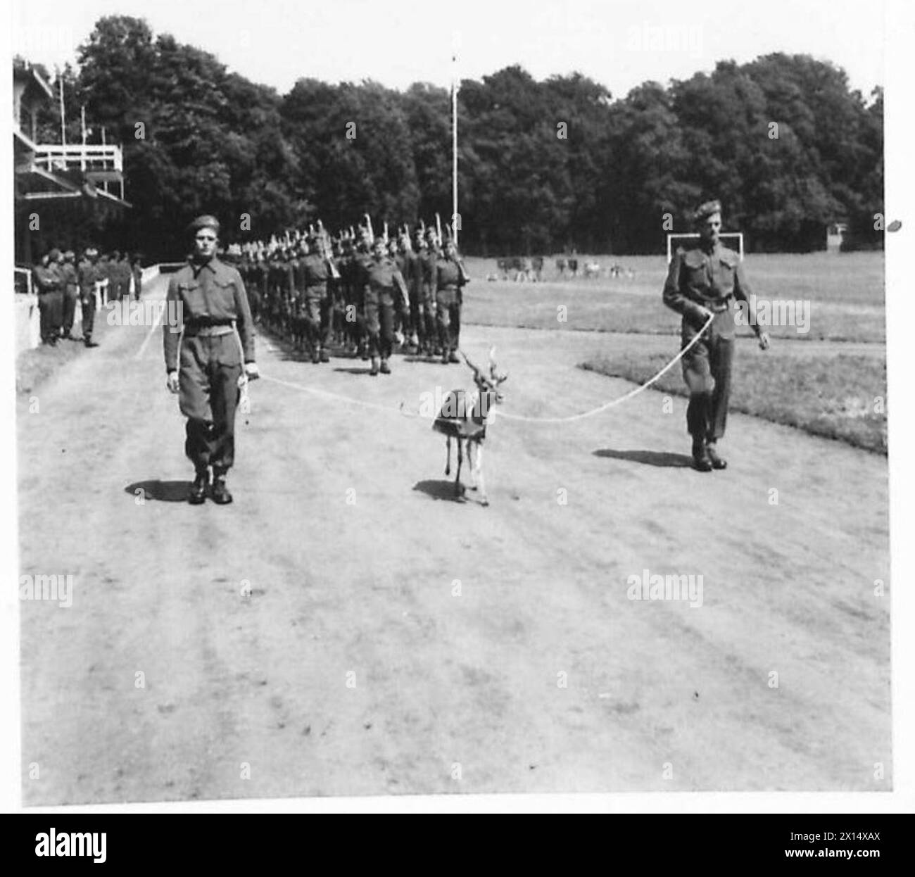 Un soldato soprannominato "Bobby" conduce una parata mentre la guardia d'onore marcia durante una cerimonia militare nell'esercito britannico. Foto Stock