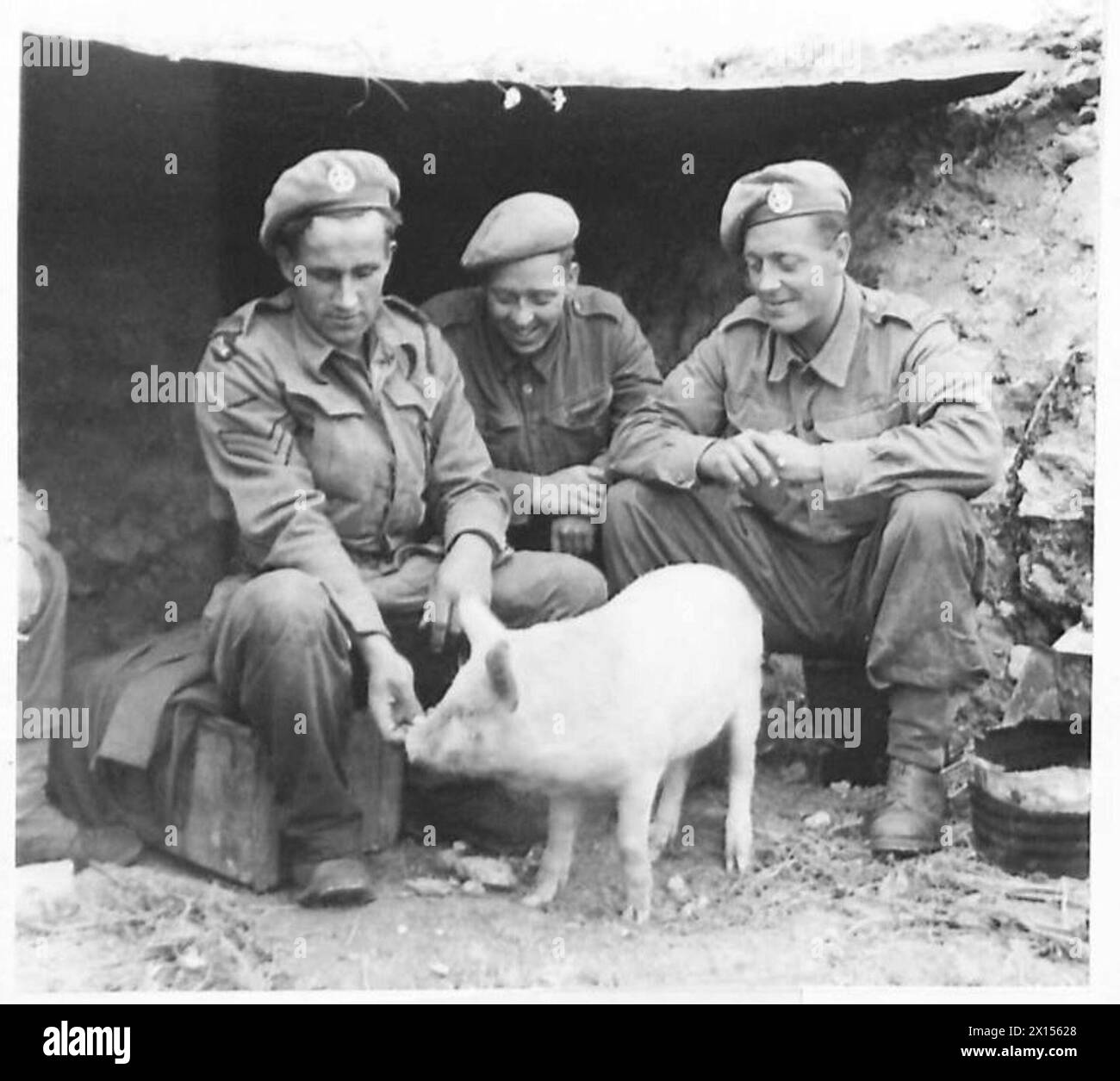 PRIMO ESERCITO IN AZIONE A NORD DI BOU ARADA - uomini della 10th Motor Battalion Rifle Brigade in un scavato con la loro mascotte. Sono intenzionati a "portare a casa il Bacone" in più modi di un esercito britannico Foto Stock