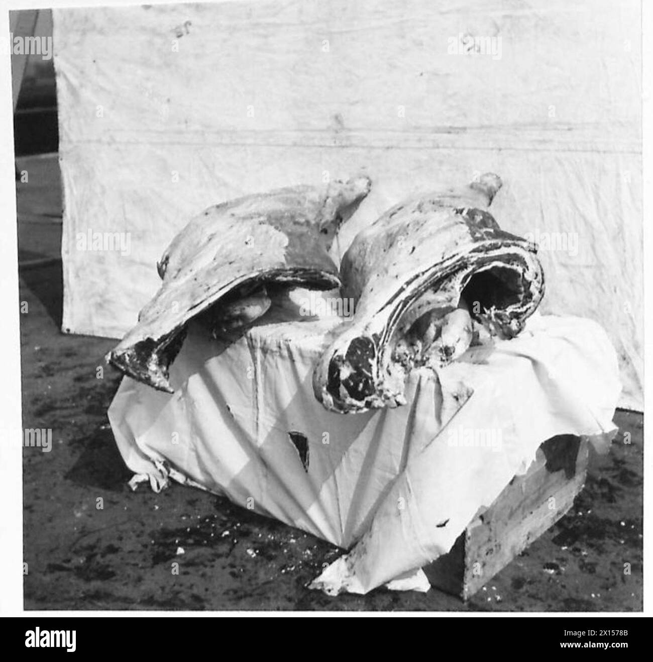 Le articolazioni di carne di manzo vengono preparate e immagazzinate dall'esercito britannico per il consumo di truppe e le razioni. Foto Stock