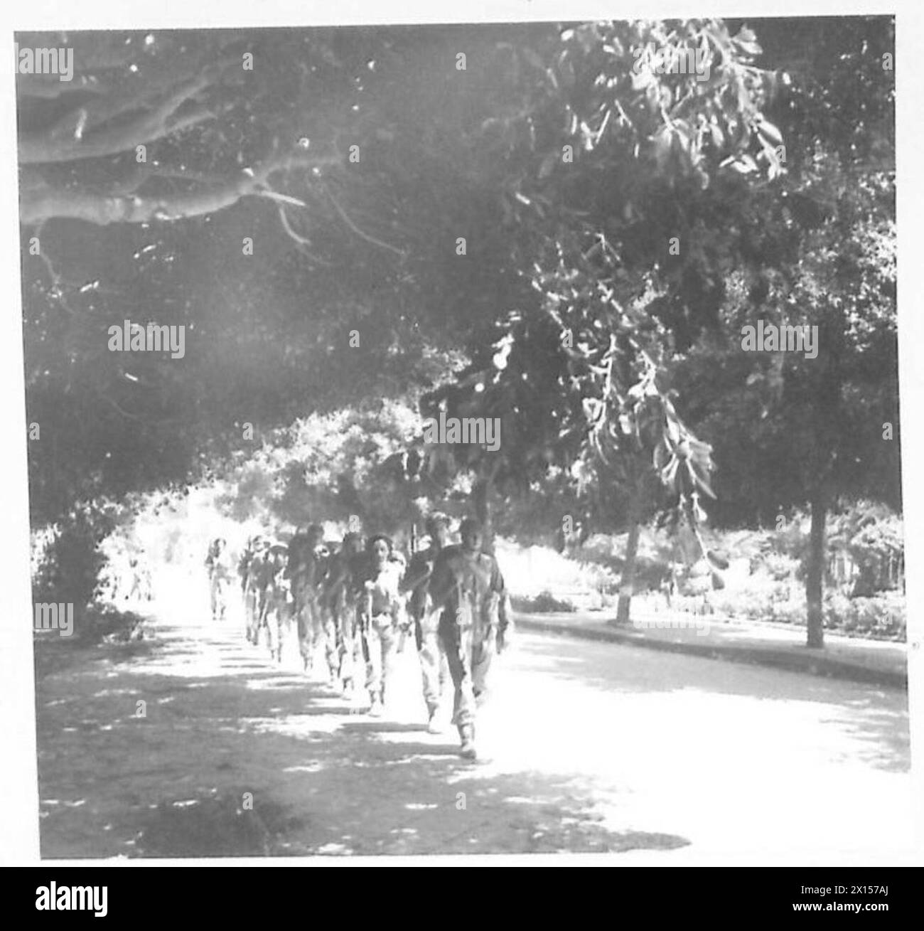 La fanteria britannica marciò attraverso le campagne siciliane durante le operazioni in Nord Africa, Sicilia, Italia, Balcani e Austria tra il 1942 e il 1946. Foto Stock