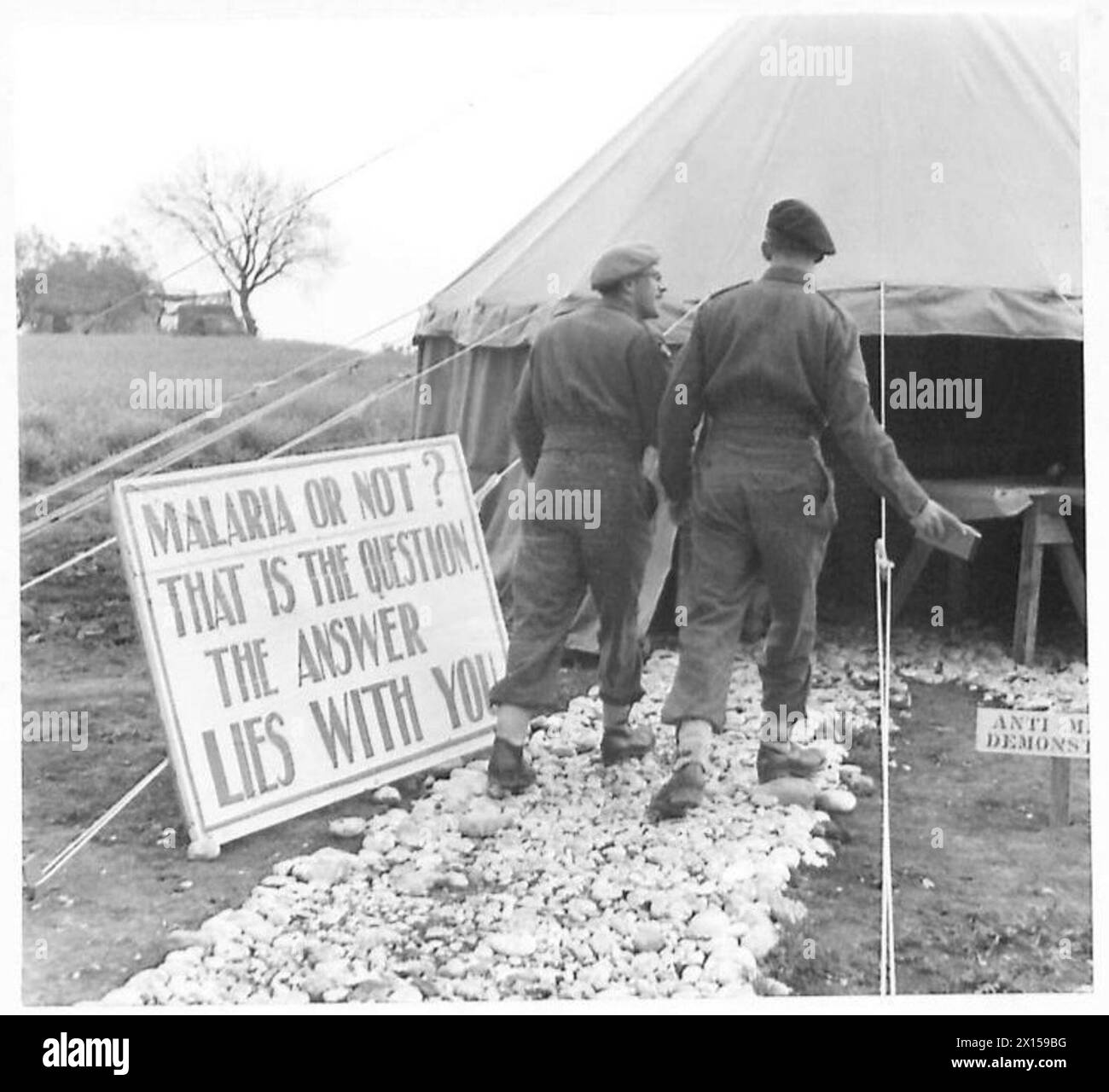 Il Sgt. Maggiore E. Bevan della R.A.M.C. e Cpl. S.J. Price della R.A.S.C. partecipano alle conferenze nell'ambito della campagna anti-malarica in Italia Foto Stock