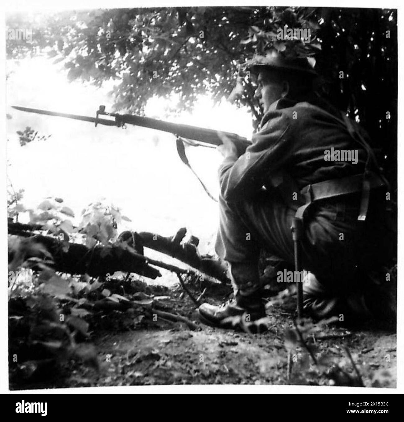 I CANADESI SI UNISCONO ALLE FORZE OLANDESI - uno degli uomini ben nascosto in una siepe durante l'esercitazione dell'esercito britannico Foto Stock