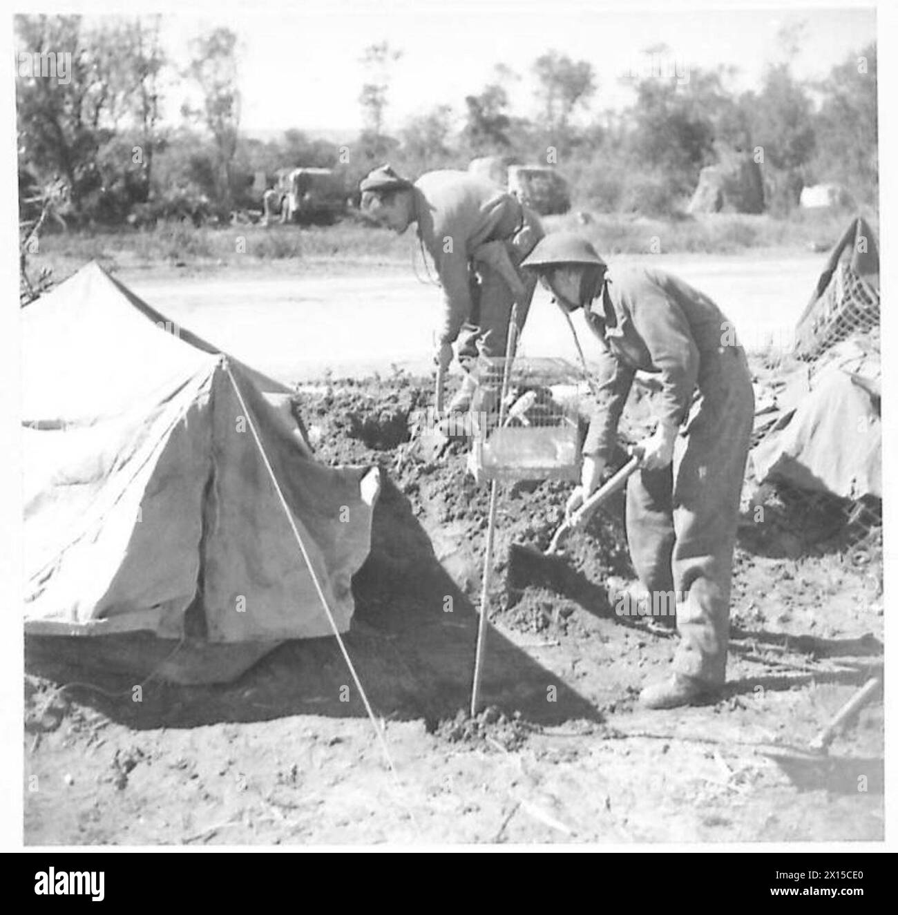 Il privato John Rose dei 23 edifici di Ponsonby trovò un canarino a Salerno e se ne prese cura mentre prestava servizio con la V Armata in Italia Foto Stock