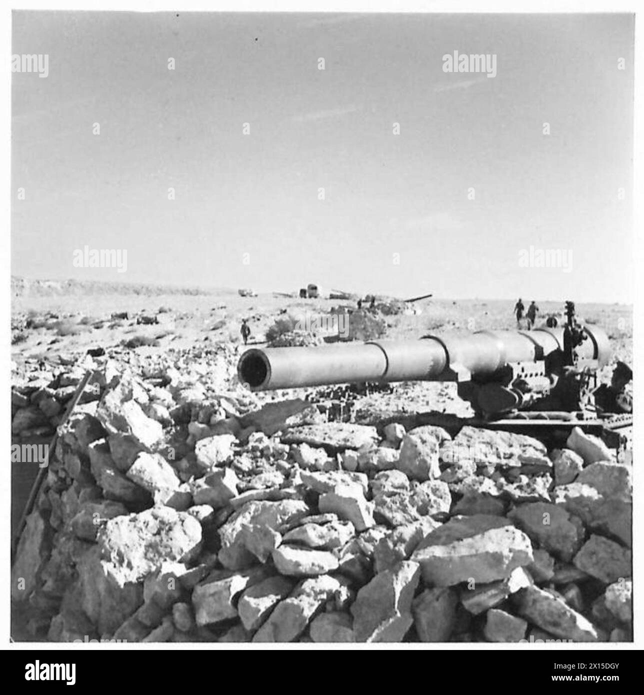 Un animale domestico appartenente al personale di terra siede tra i bagagli del First Greek Fighter Squadron, in attesa di operazioni con l'esercito britannico. Foto Stock